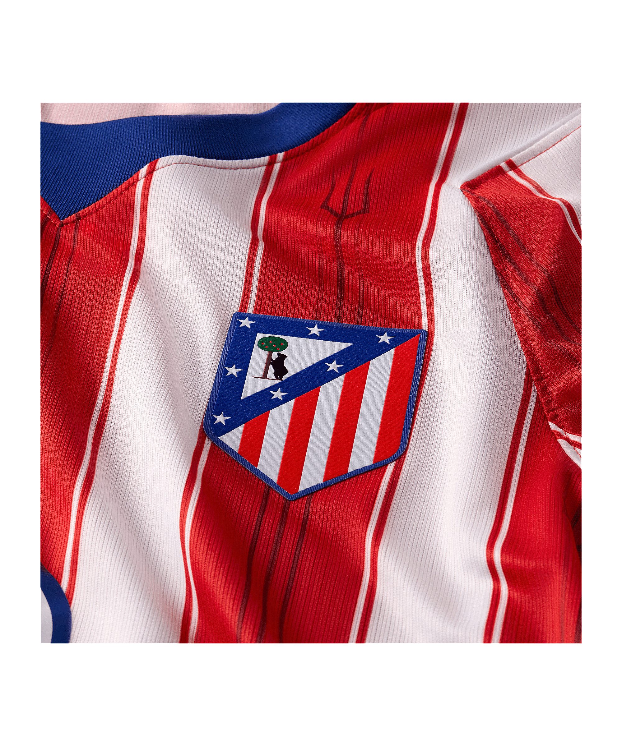 Nike Fußballtrikot Nike Performance Primera Division