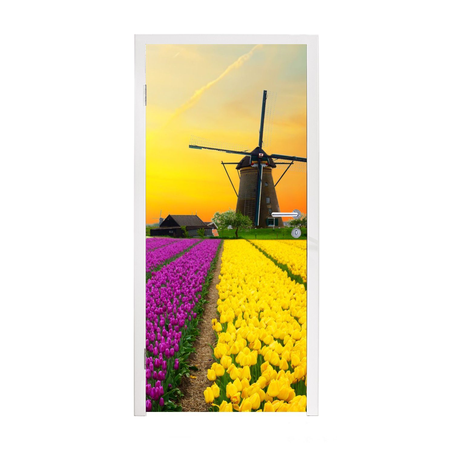 Blumen Tür, - Matt, Fototapete bedruckt, - cm Windmühle MuchoWow Tulpen - für Frühling, (1 St), 75x205 Türtapete Türaufkleber,