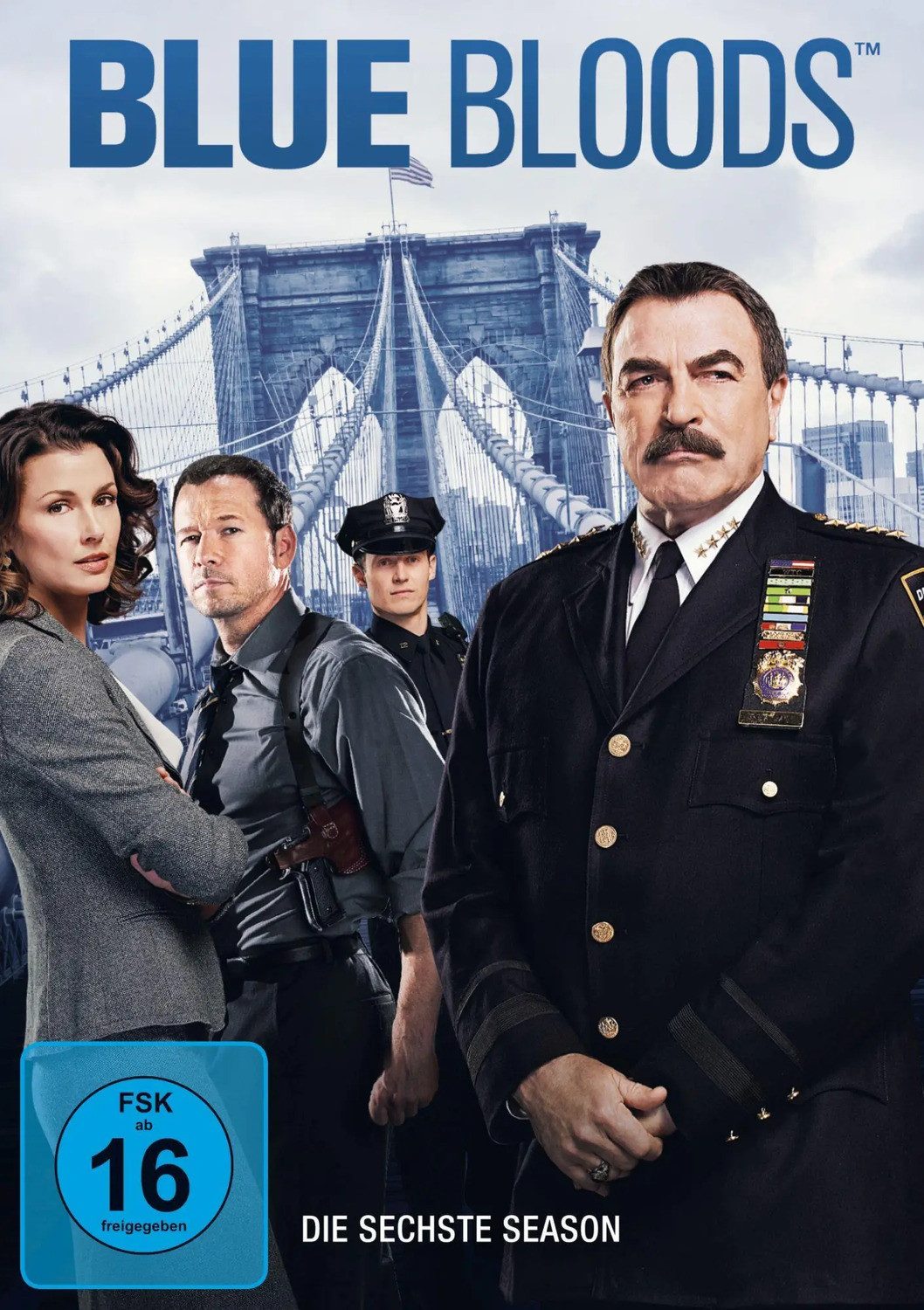 DVD Blue Bloods - Staffel 6