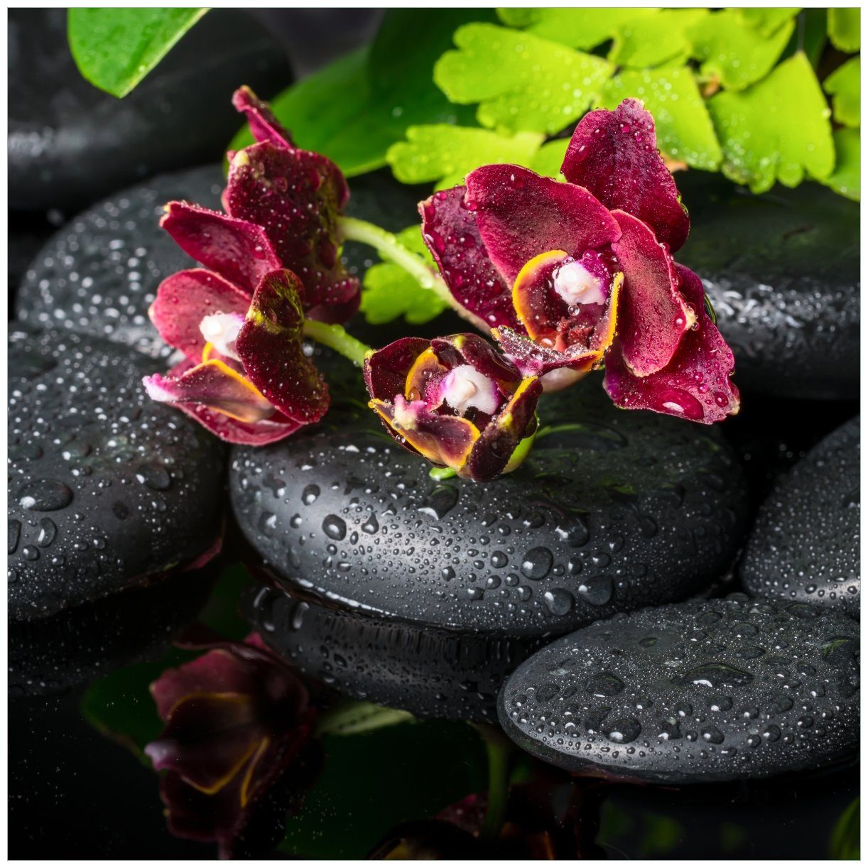 Wallario Glasbild, Dunkelrote Orchideen-Blüte auf schwarzen Steinen mit Regentropfen, in verschiedenen Ausführungen