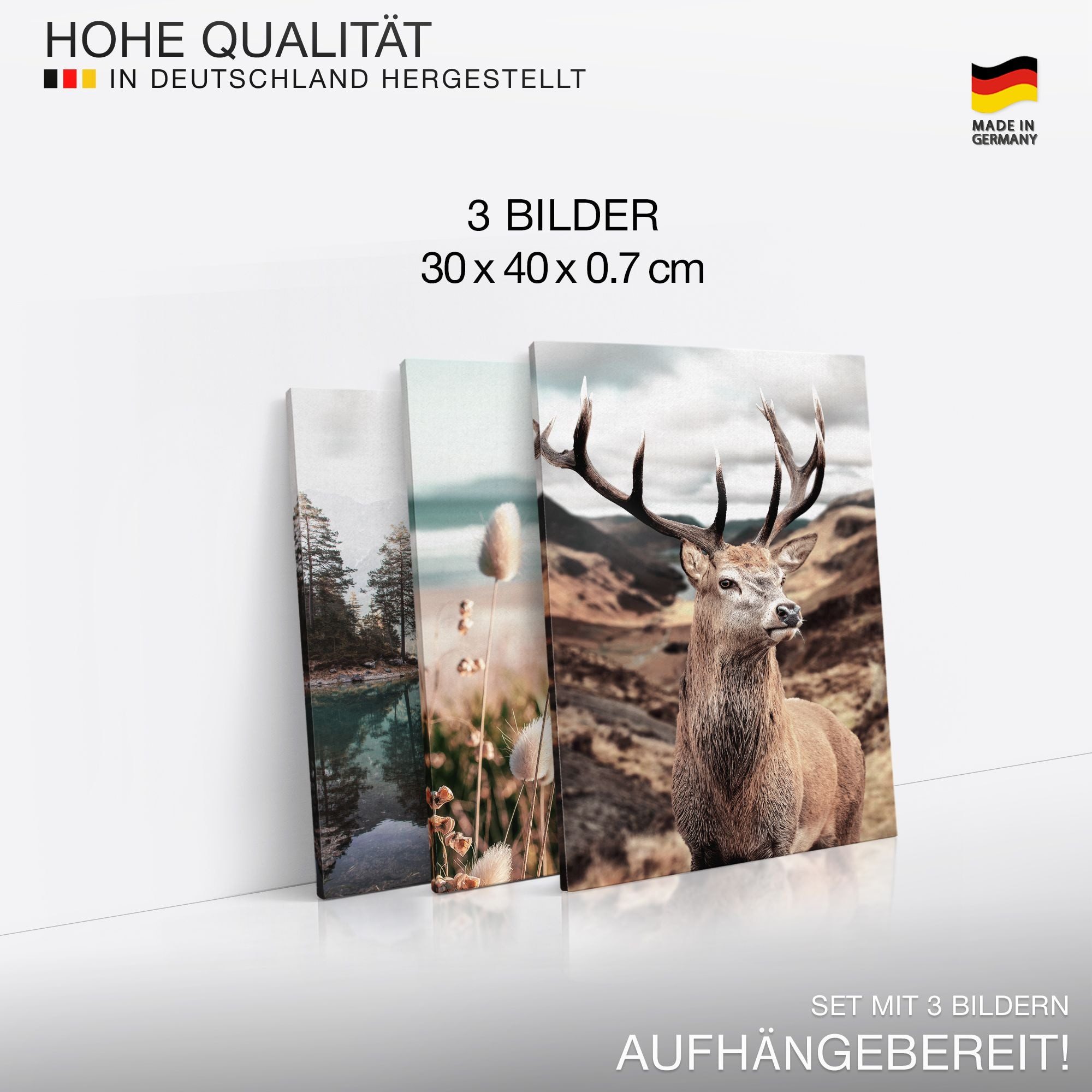 Novart Wandbild Wald Natur Bilder Set 3 Teilig Wohnzimmer Schlafzimmer Deko, Berge Hirsch – Bild 3 von 5