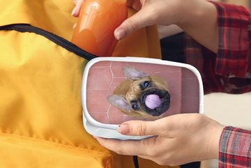 MuchoWow Lunchbox Ein Welpe einer Französischen Bulldogge, Kunststoff, (2-tlg), Brotbox für Kinder und Erwachsene, Brotdose, für Jungs und Mädchen