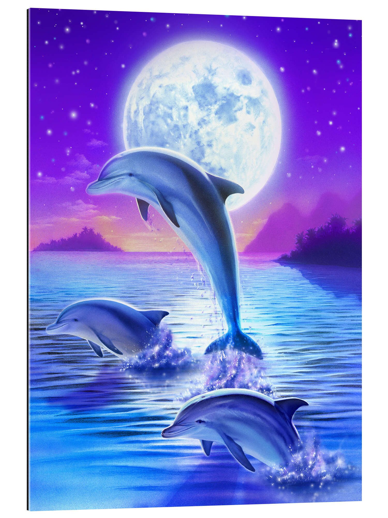 Posterlounge Poster Robin Koni, Delfinromantik, Kinderzimmer günstig online kaufen