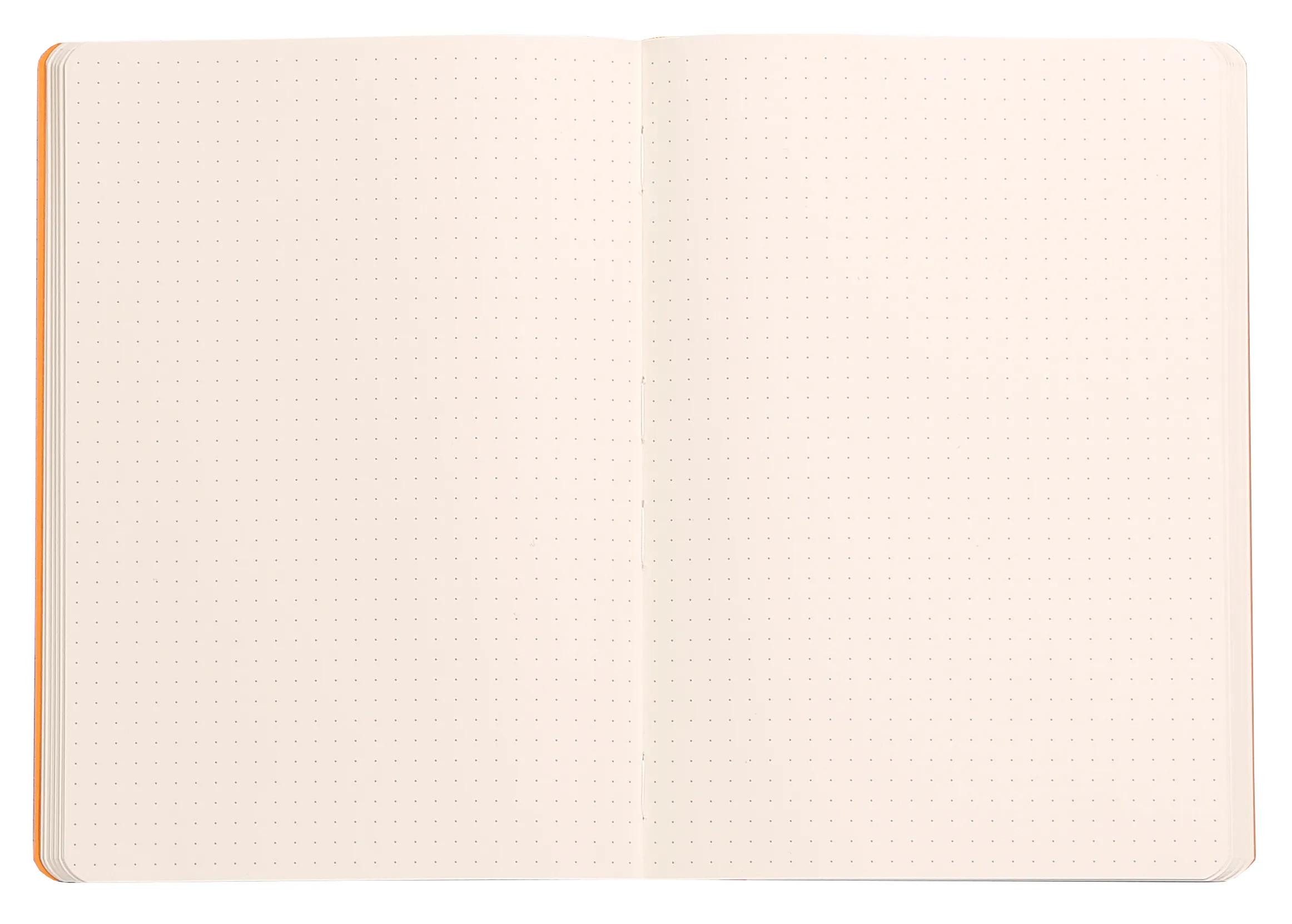 Rhodia Einsteck-Fotoalbum Notizbuch A5 Softcover, 80 Bl 90g, dot/punktkariert, Gold 117476C, Buch geleimt