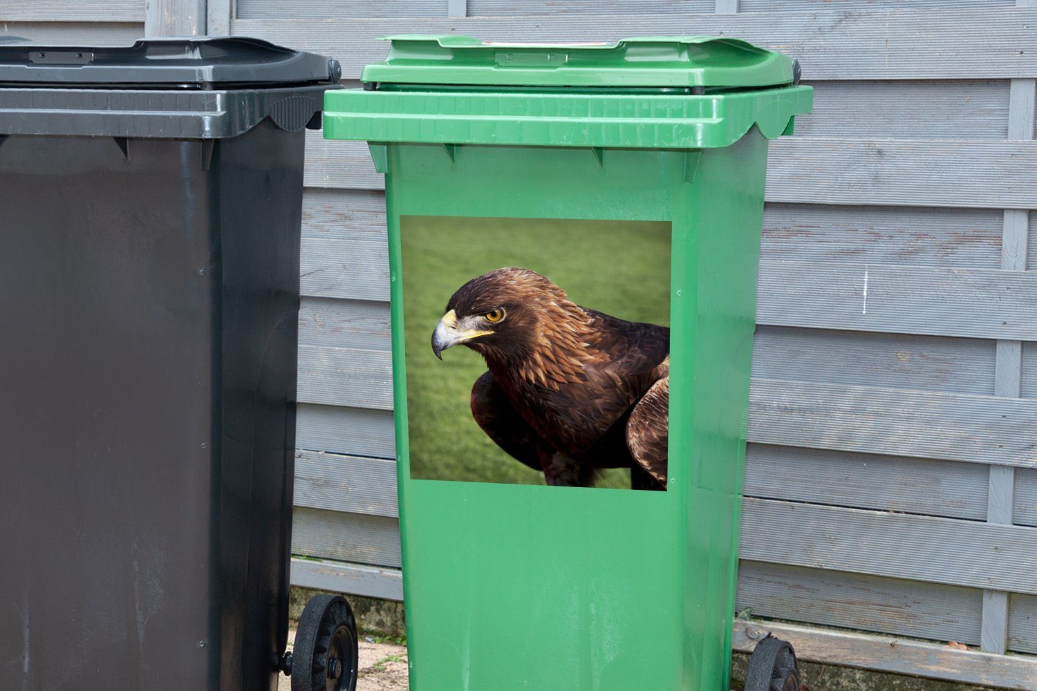MuchoWow Wandsticker Vogel (1 Abfalbehälter Container, Mülleimer-aufkleber, Adler St), - Sticker, Mülltonne, - Gras