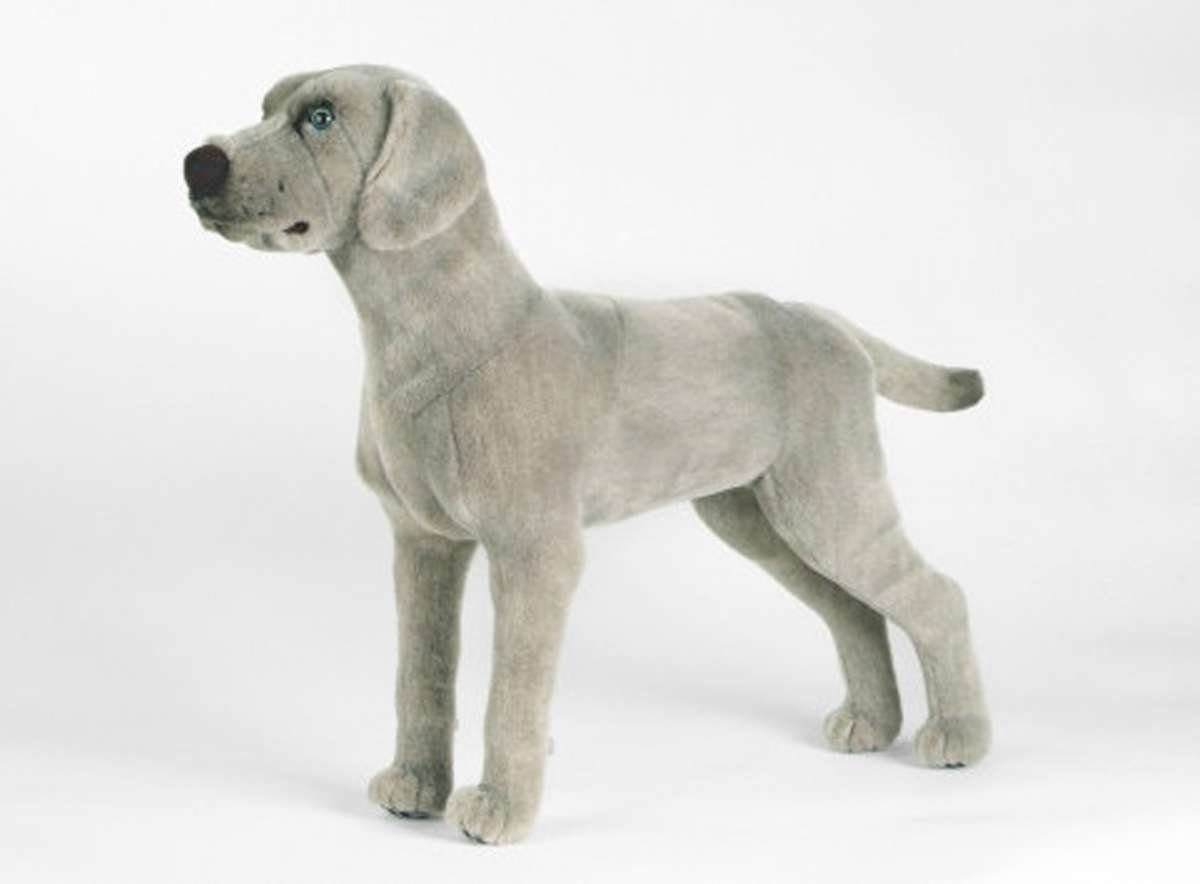 Kösen Kuscheltier Weimaraner Hund 47 cm