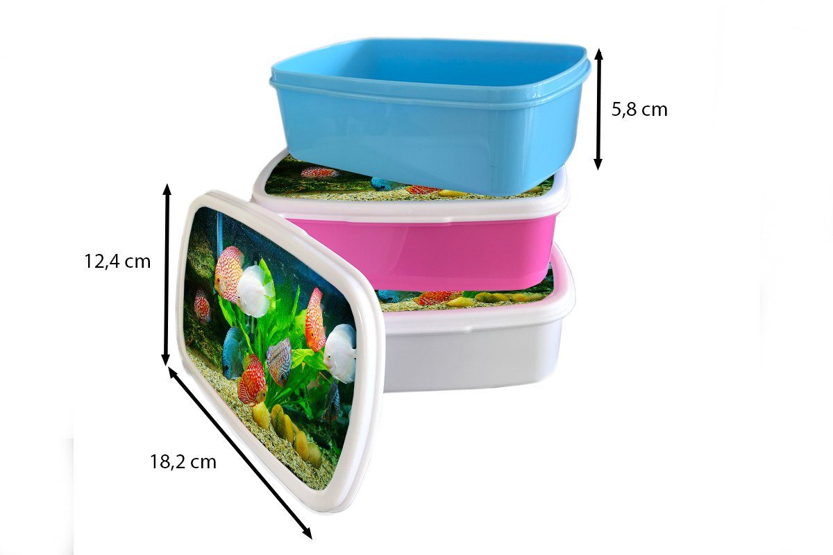 MuchoWow Lunchbox Fische (2-tlg), Mädchen, Brotdose einem Erwachsene, in Kunststoff, Brotbox Snackbox, rosa Kunststoff Aquarium, für Kinder