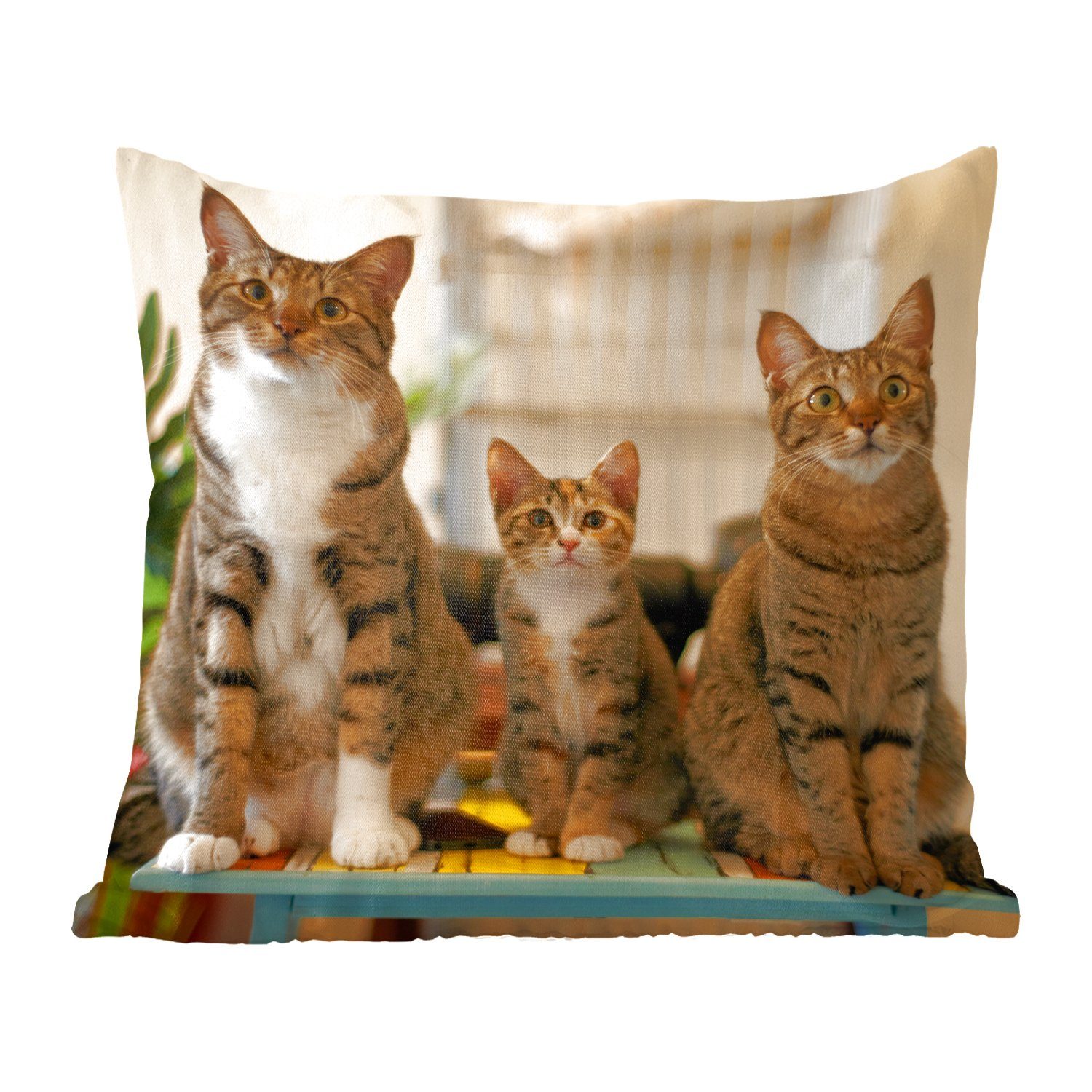MuchoWow Dekokissen Drei Katzen auf kleinem Tisch, Zierkissen mit Füllung für Wohzimmer, Schlafzimmer, Deko, Sofakissen
