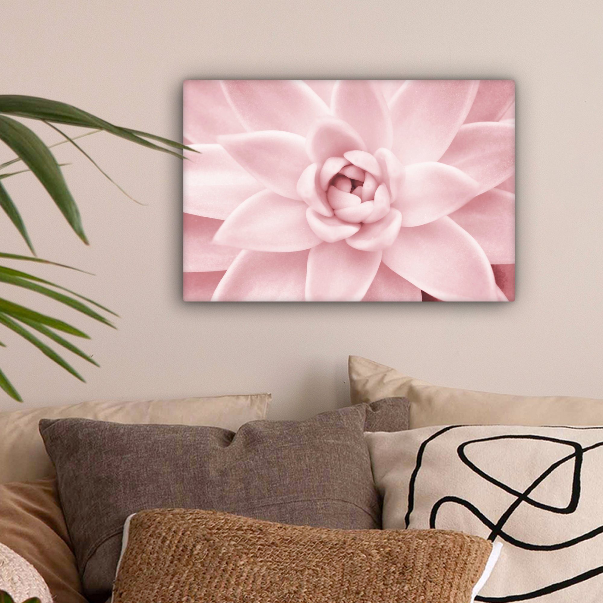 OneMillionCanvasses® Leinwandbild Blume - Rosa - Natur - Pflanze, Fotodruck günstig online kaufen