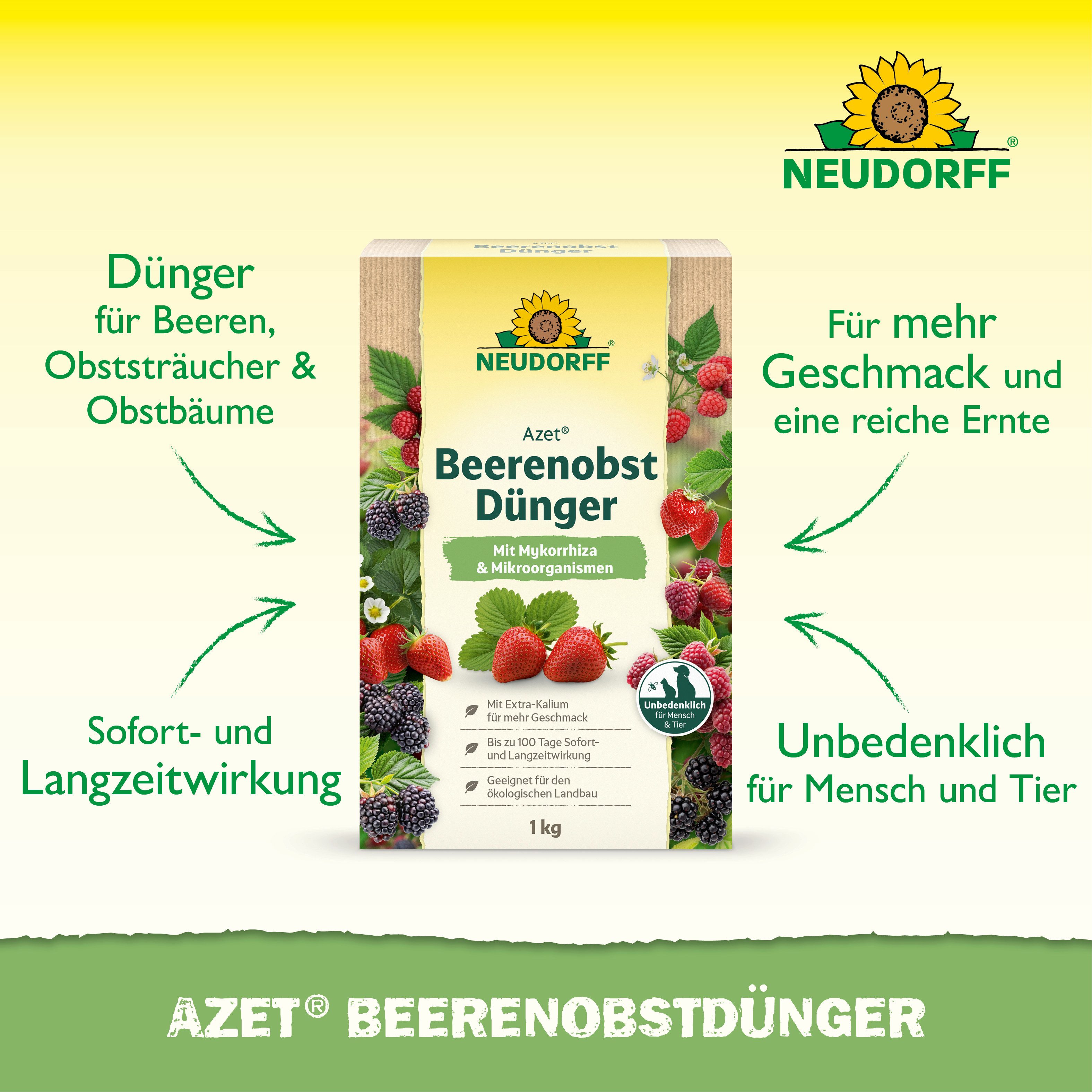 Neudorff Obstdünger Azet Beeren- & ObstDünger 1 kg, Einzelartikel, Für aromatische Früchte und eine reiche Ernte, Mit Extra-Kalium, Mykorrhiza und bis zu 100 Ta – Bild 2 von 5