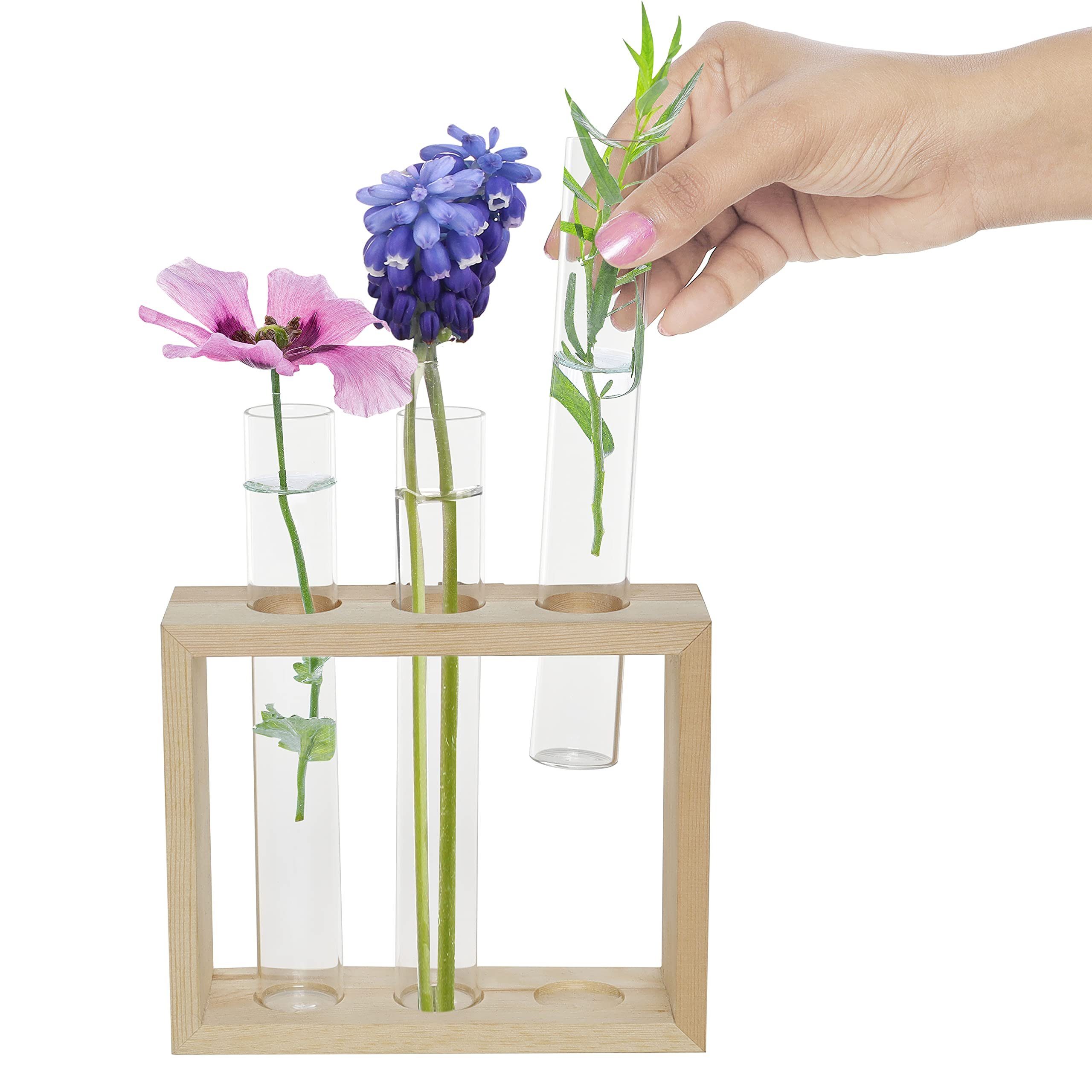 Set Hängende Hängende für Blumen Vasen Reagenzgläser - Set Blumentopf Vous mit für 4 Glasvasen - 4 Reagenzgläsern, Belle Blumen Glas