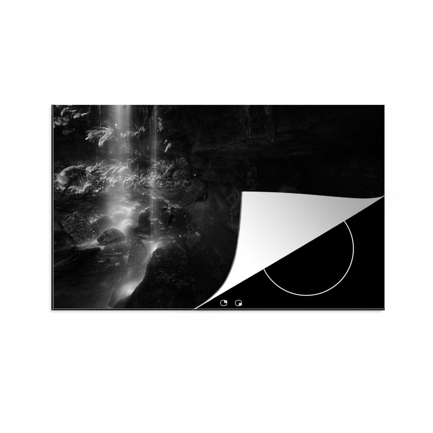 MuchoWow Herdblende-/Abdeckplatte Sonne durch die Blätter - schwarz und weiß liegend, Vinyl, (1 tlg), 81x52 cm, Induktionskochfeld Schutz für die küche, Ceranfeldabdeckung