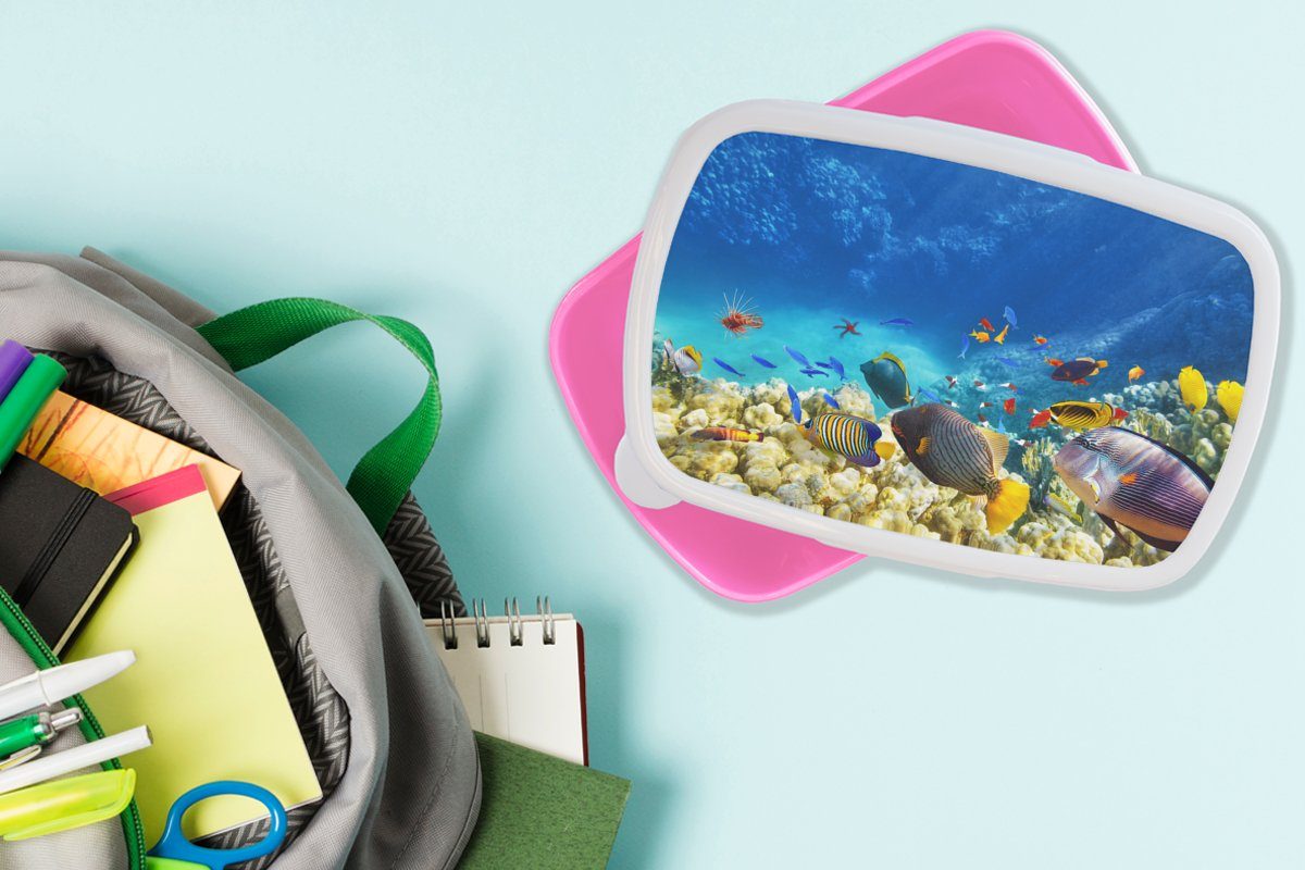 (2-tlg), Brotbox - - Unterwasserwelt, - Kunststoff Snackbox, Kinder, Brotdose Kunststoff, Fische Korallen Meer für rosa MuchoWow Mädchen, Lunchbox Erwachsene,