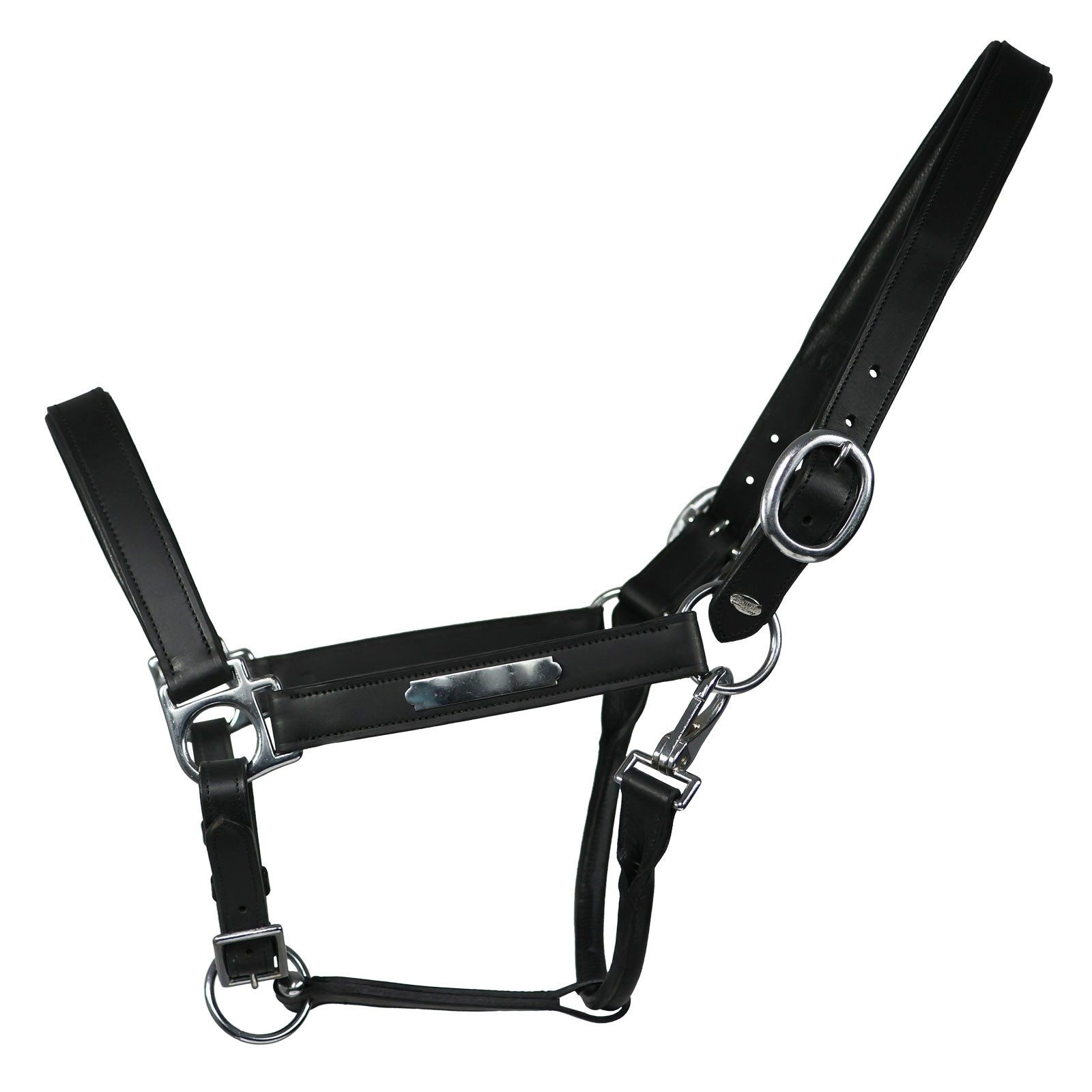EQuest Lederhalfter Lederhalfter Inscribe für Pferde, unterlegt, schwarz, L, Full/Warmblut, 100% Rindsleder