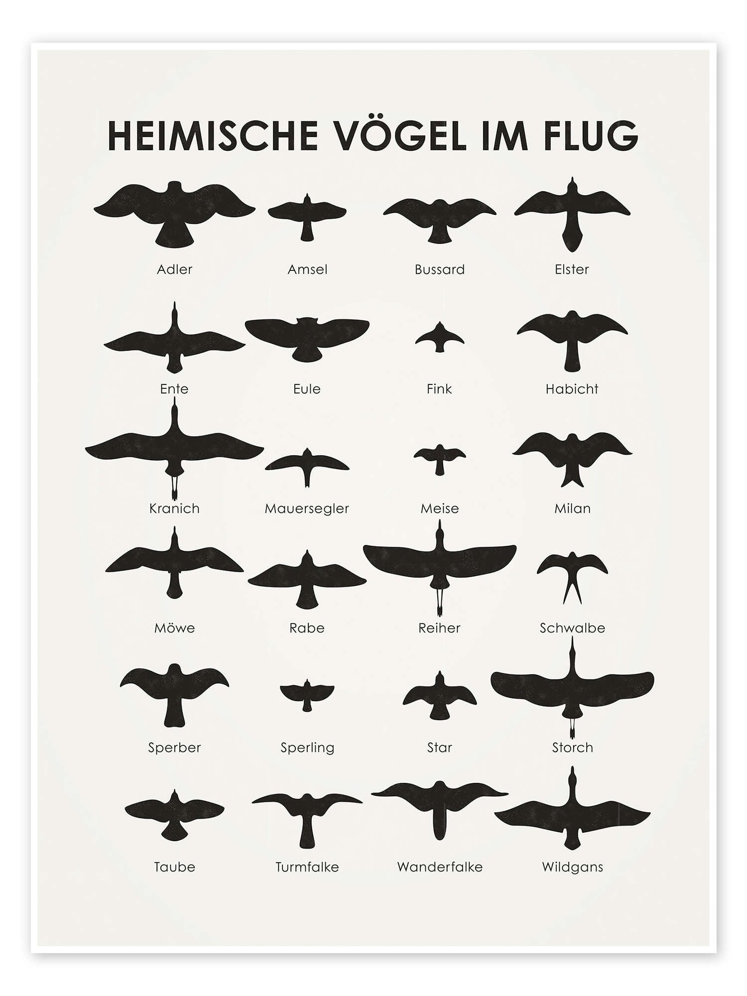Posterlounge Wandbild Heimische Vögel im Flug, Iris Luckhaus, erhältlich al günstig online kaufen