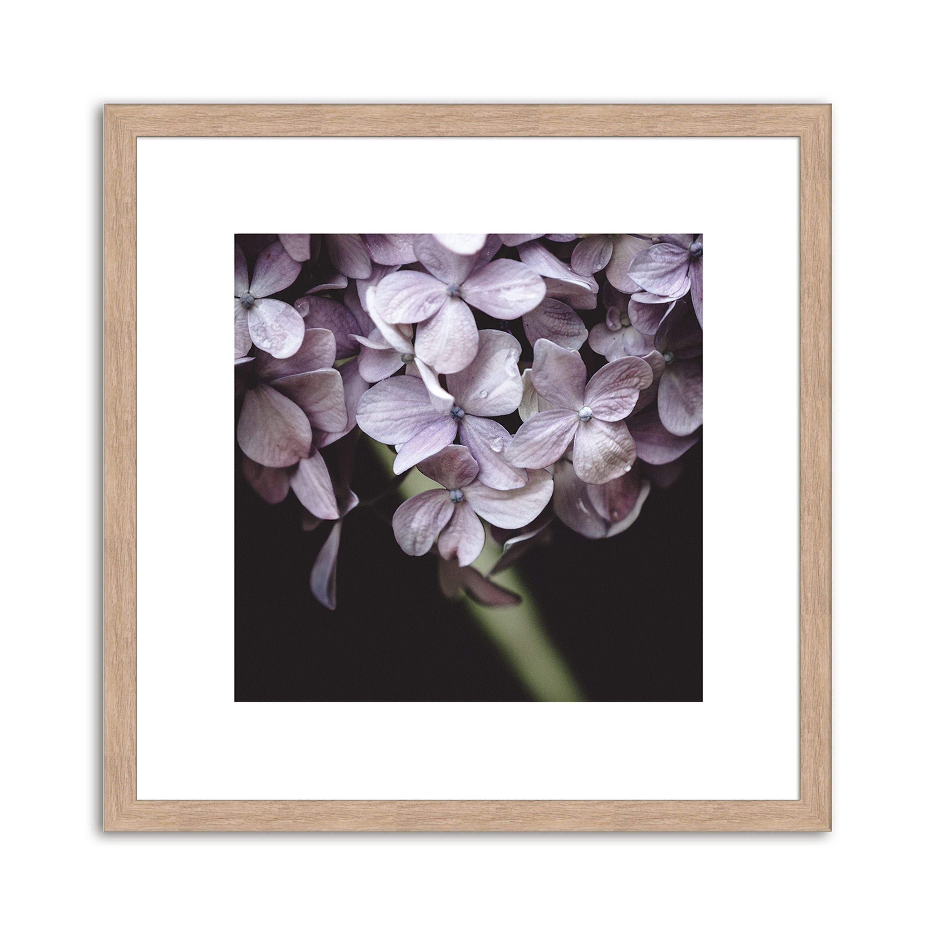 artissimo Bild mit Rahmen Bild gerahmt 30x30cm / Design-Poster inkl. Holz-Rahmen / Wandbild, Blumen: Lila Blüten II
