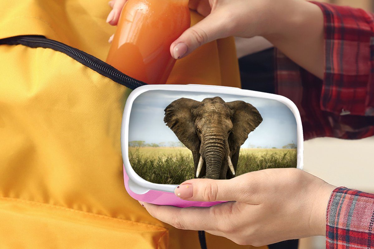 MuchoWow Lunchbox Elefant - Natur - (2-tlg), Tiere - Kinder, Kunststoff Brotdose Mädchen, Gras Snackbox, Erwachsene, Kunststoff, - Brotbox Landschaft, für rosa