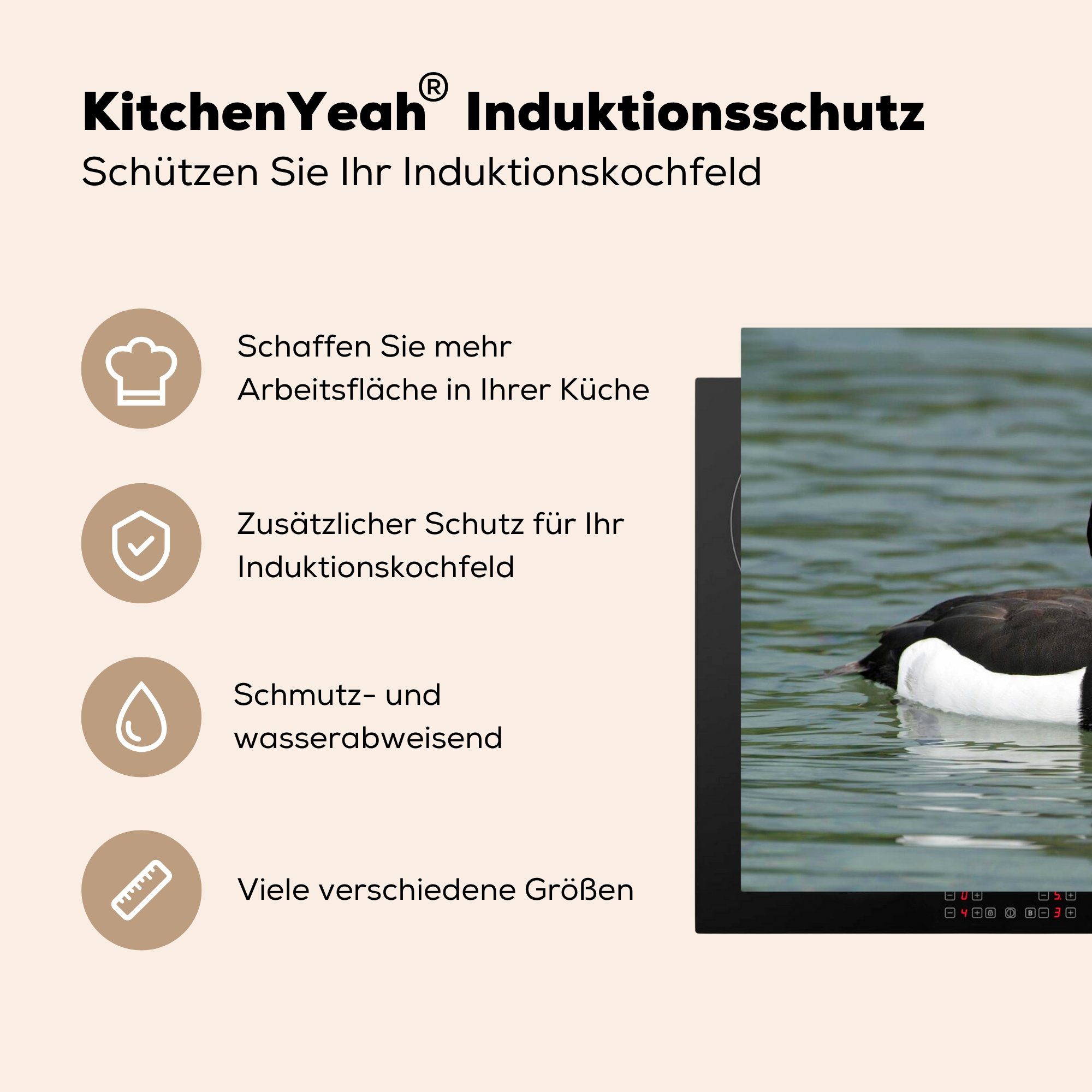 Induktionskochfeld Reiherente Vogel, Ceranfeldabdeckung für - (1 Tiere tlg), Vinyl, Schutz die 81x52 Herdblende-/Abdeckplatte cm, - MuchoWow küche,