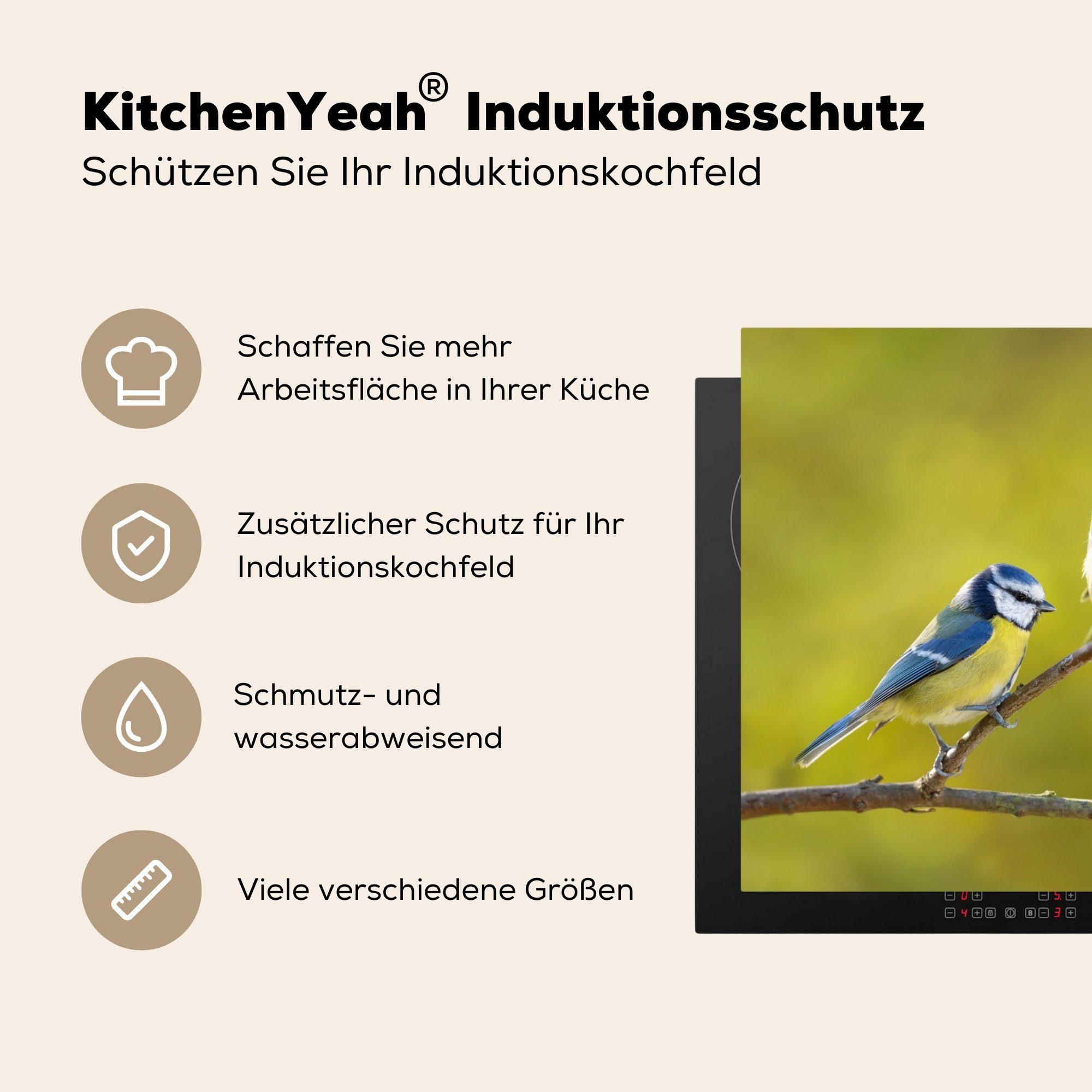 Sonne, - Blaumeise Ceranfeldabdeckung, Herdblende-/Abdeckplatte für Vogel (1 Arbeitsplatte Äste MuchoWow Vinyl, küche 81x52 cm, - tlg), -
