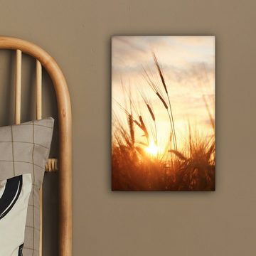 OneMillionCanvasses® Leinwandbild Schilf - Gras - Sonnenuntergang - Natur - Horizont, (1 St), Leinwandbild fertig bespannt inkl. Zackenaufhänger, Gemälde, 20x30 cm