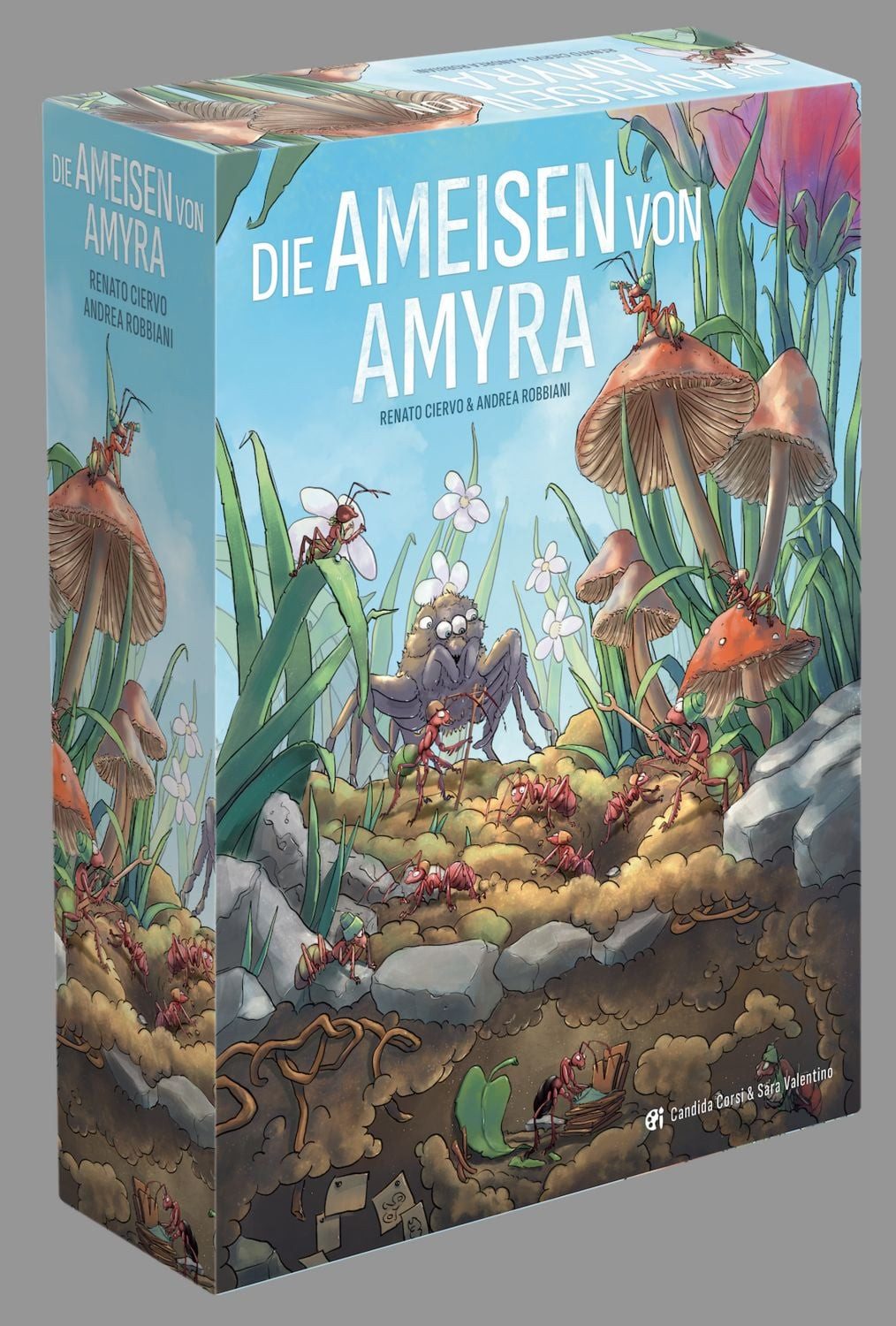 PD-Verlag Spiel Die Ameisen von Amyra
