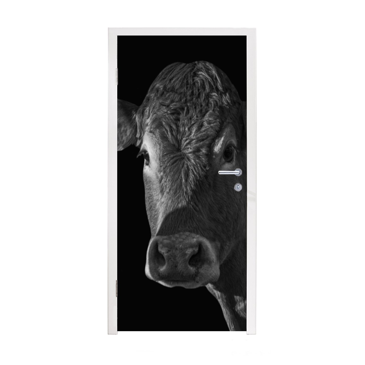 - Türaufkleber, (1 für Schwarz - Türtapete bedruckt, St), - Porträt, Fototapete Weiß Matt, cm Kuh Tür, Tiere 75x205 - MuchoWow