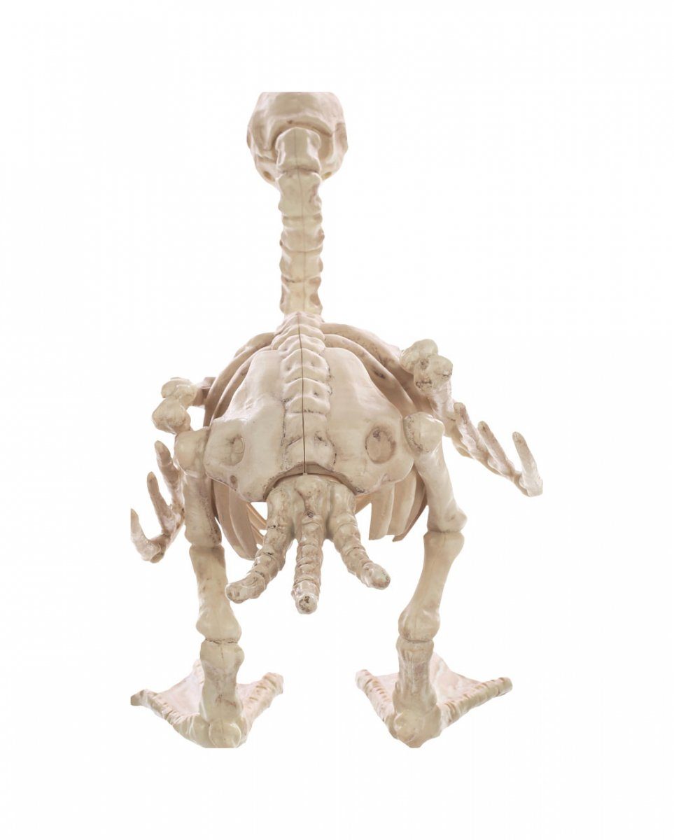 Skelett Deko als Dekofigur 19cm Horror-Shop Ente Baby