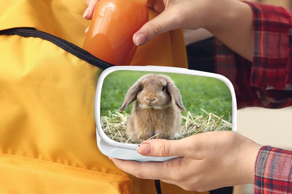 MuchoWow Lunchbox für Tier, Kaninchen (2-tlg), weiß Kinder und für Mädchen - Brotdose, Brotbox Jungs und Erwachsene, - Kunststoff, Stroh