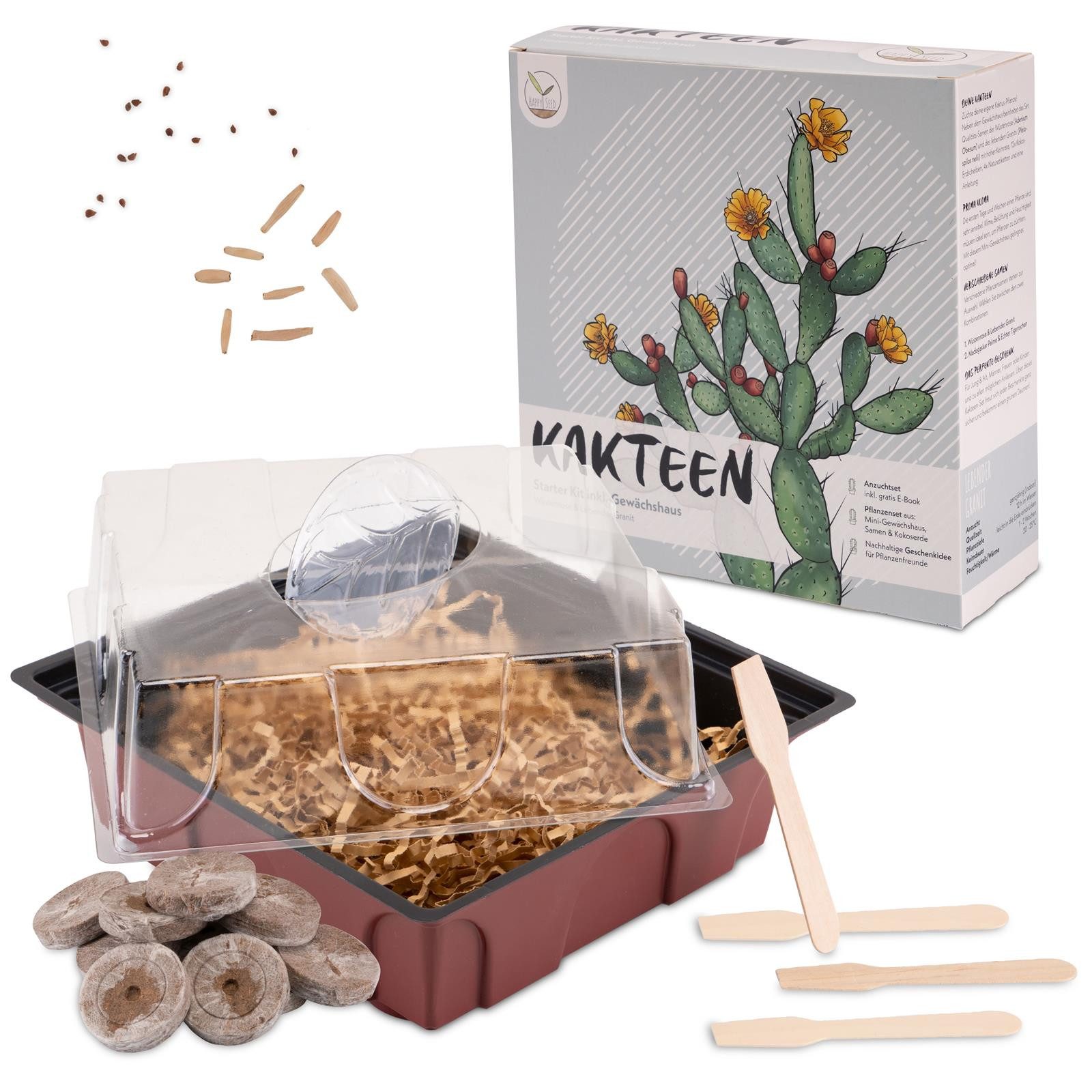 HappySeed Blumensamen Kakteen Starter Kit - Gewächshaus & Samen (Wüstenrose + Leb. Granit), Kakteen