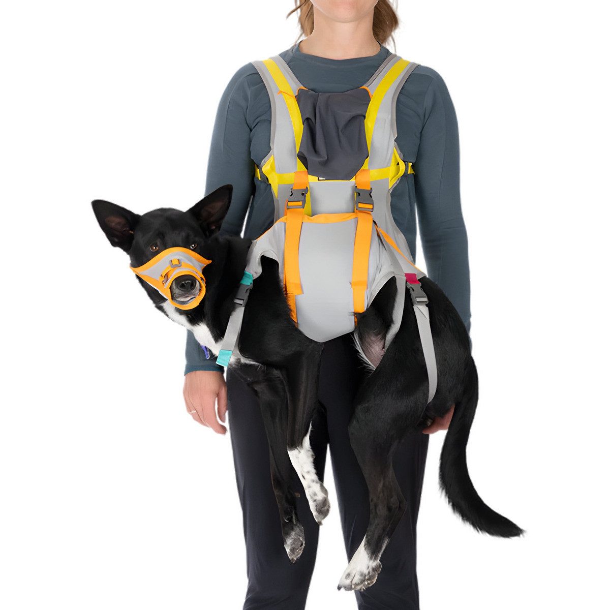 Ruffwear Sicherheitsgeschirr Notfallausrüstung BackTrak Dog Evacuation günstig online kaufen