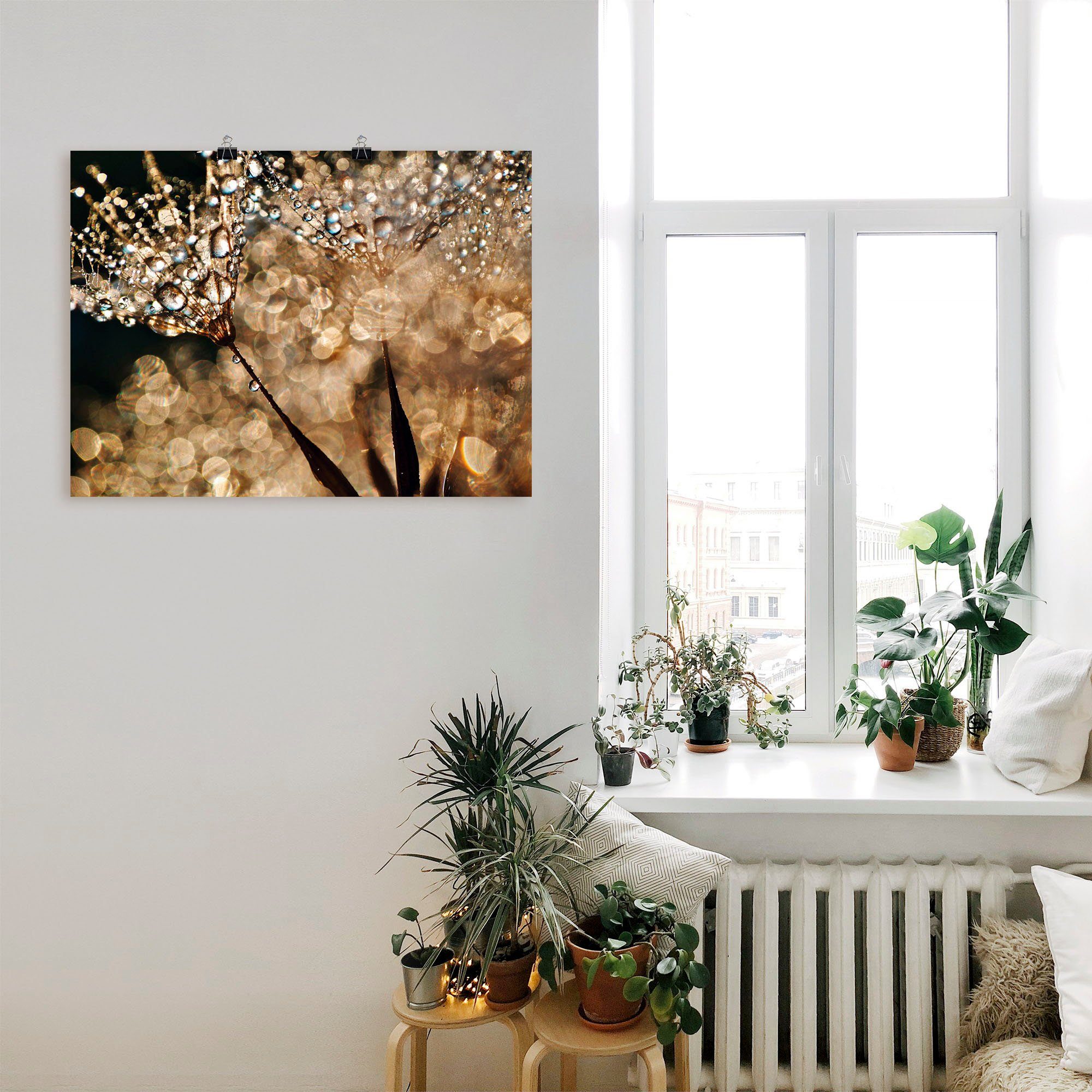Artland Wandbild Pusteblume Goldschimmer, Blumen (1 St), als Alubild, Leinwandbild, Poster in verschied. Größen