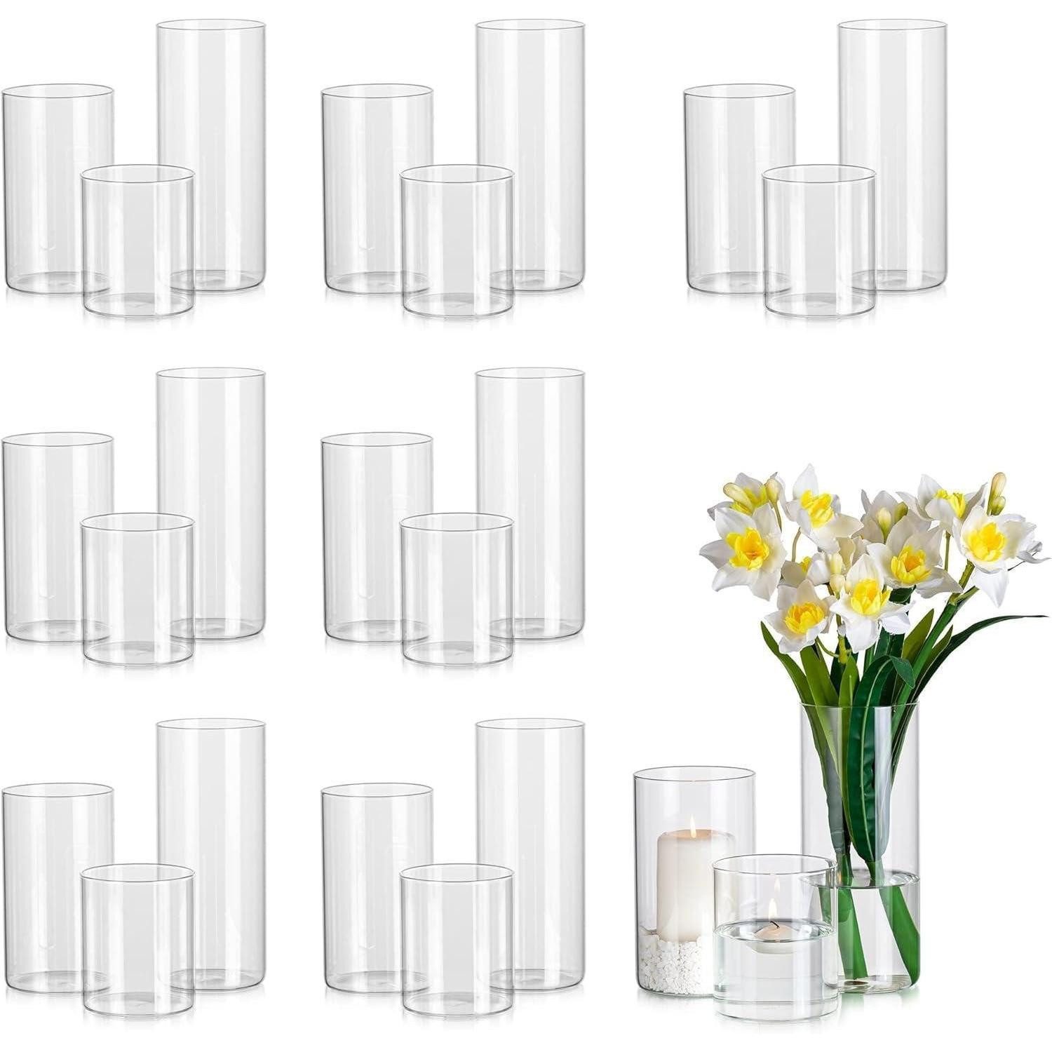 LuxusKollektion Gläser-Set Vase Zylindervase Glas Blumenvase Tulpenvase Tischdeko 24 8.5cm