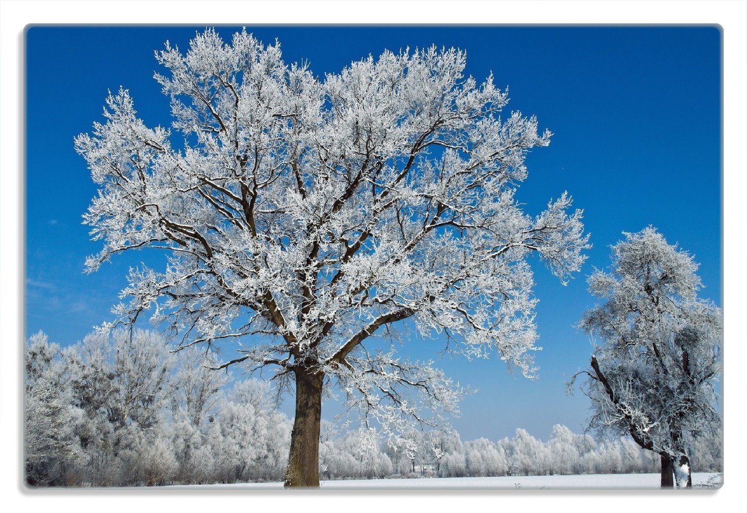 Wallario Frühstücksbrett Schneebedeckter Baum mit blauen Himmel, (inkl. rutschfester Gummifüße 4mm, 1-St), 20x30cm