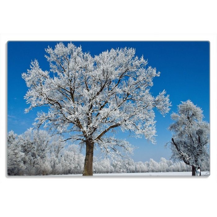 Wallario Frühstücksbrett Schneebedeckter Baum mit blauen Himmel (inkl. rutschfester Gummifüße 4mm 1-St) 20x30cm