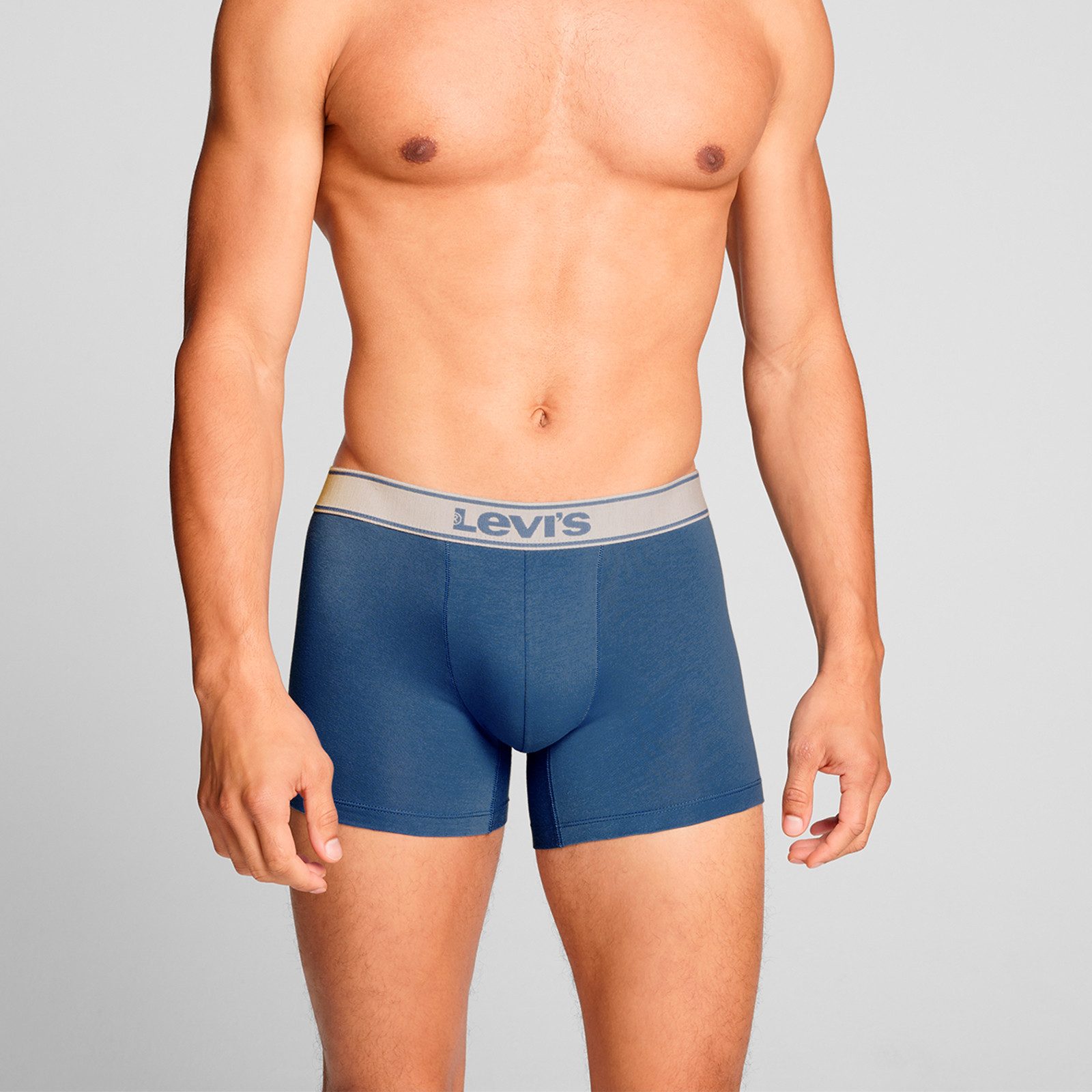 Levi's® Boxer 2er Pack Boxer Briefs (2-St., 2 Stück) mit eingewebten Logo