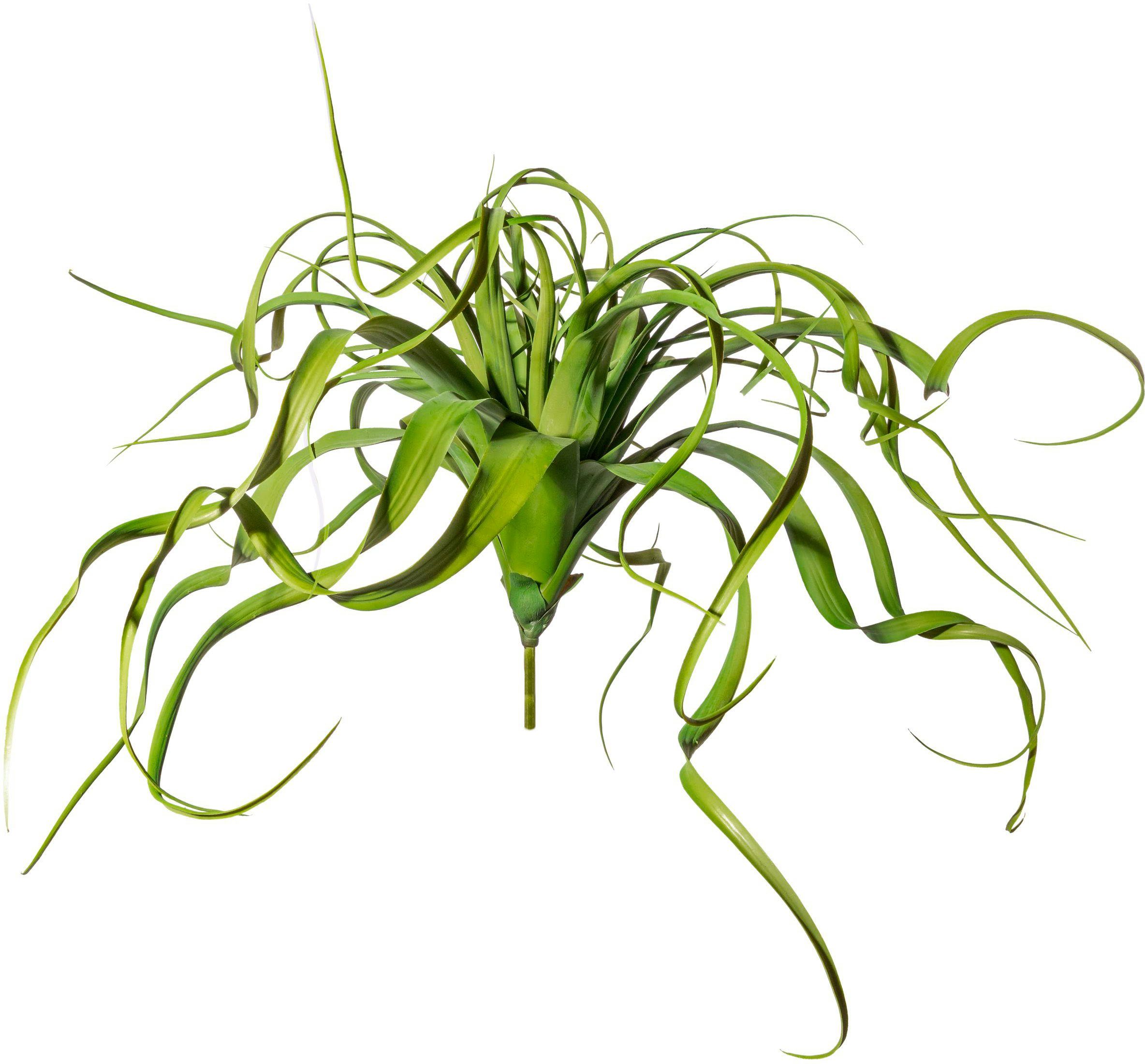 Kunstranke Tillandsien-Hänger Farn, Creativ green, Höhe 30 cm