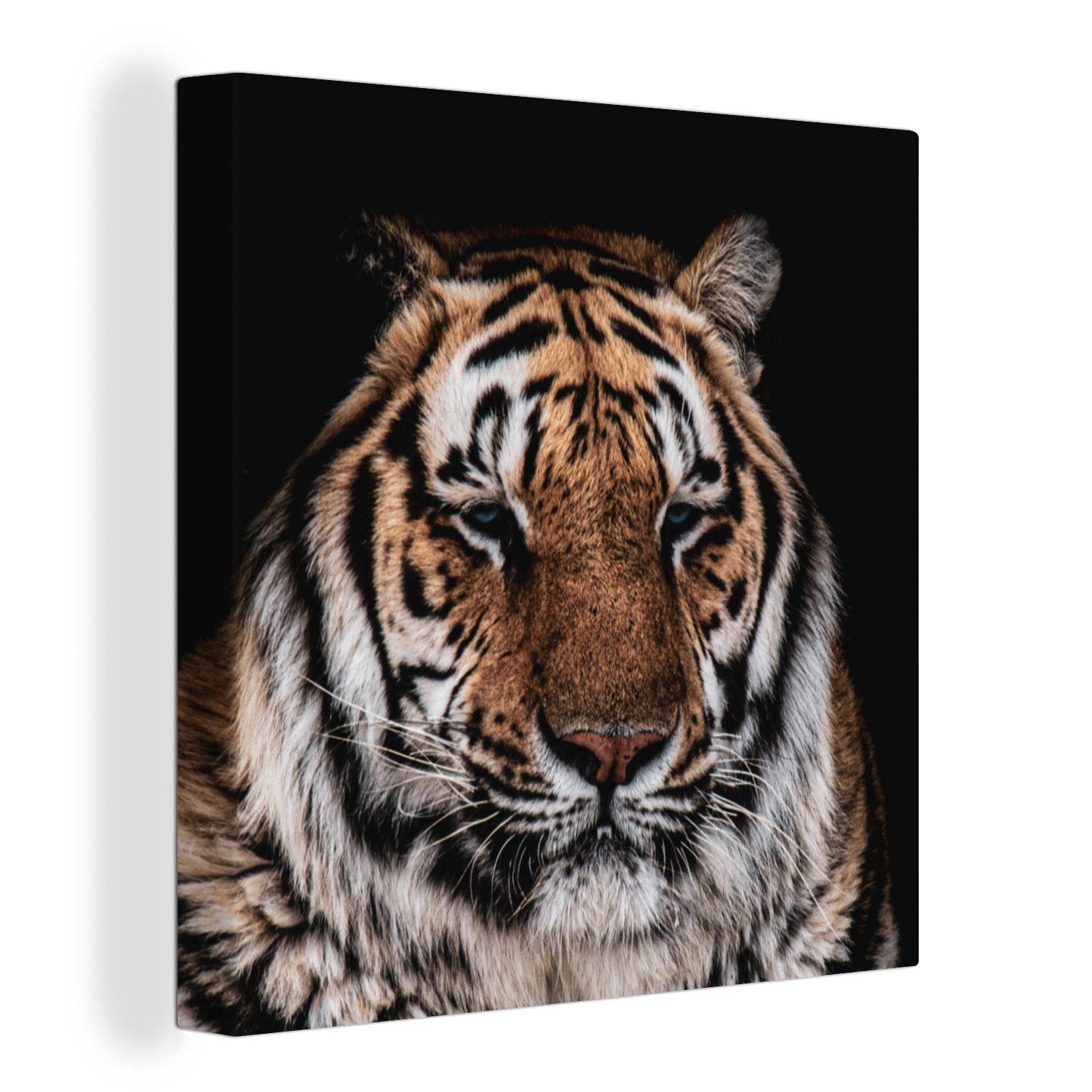 OneMillionCanvasses® Leinwandbild Tiger - Tiere - Orange, (1 St), Leinwand Bilder für Wohnzimmer Schlafzimmer