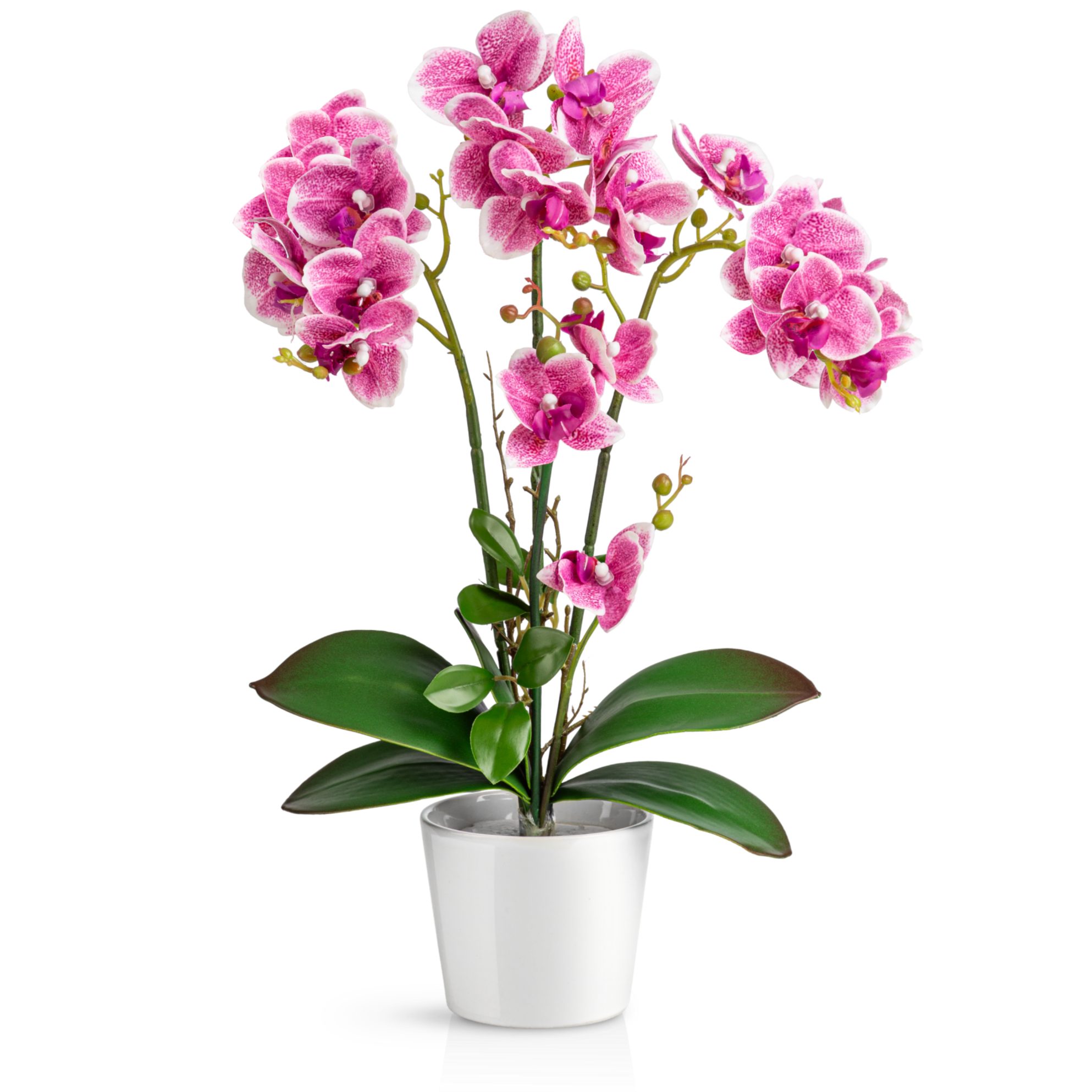 Kunstorchidee PASCH® Orchidee künstlich wie echt (46cm) in Hochglanz-Keramiktopf Orchidee, PASCH, Real Touch