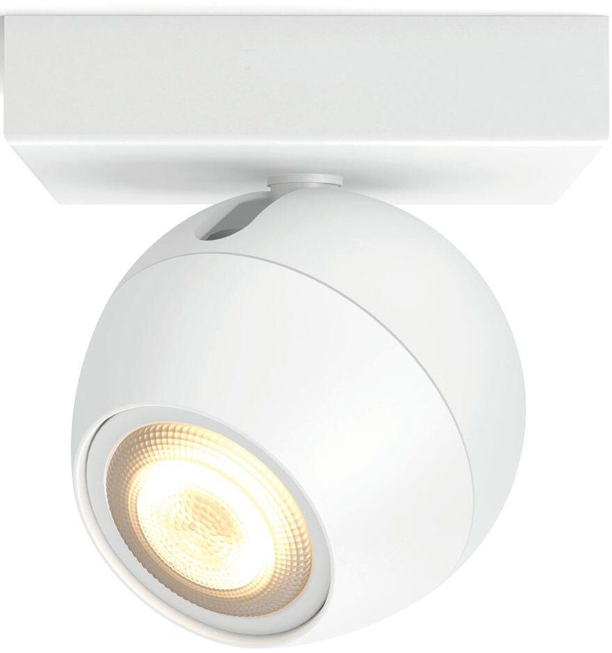 Philips Hue LED Flutlichtstrahler Buckram, Dimmfunktion, Leuchtmittel  wechselbar, Warmweiß, Inklusive Dimmschalter