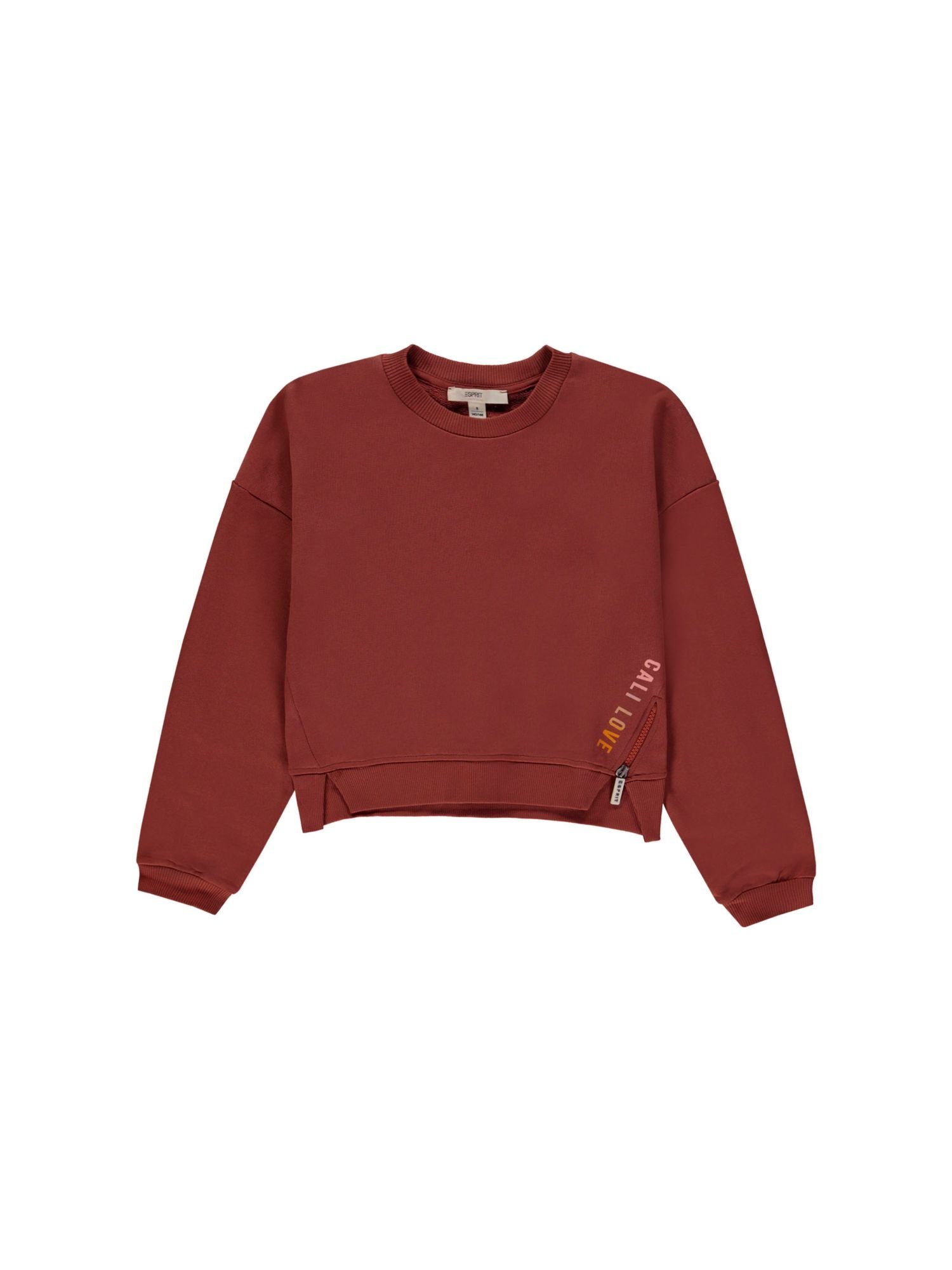 RUST Esprit BROWN Sweatshirts (1-tlg) Sweatshirt