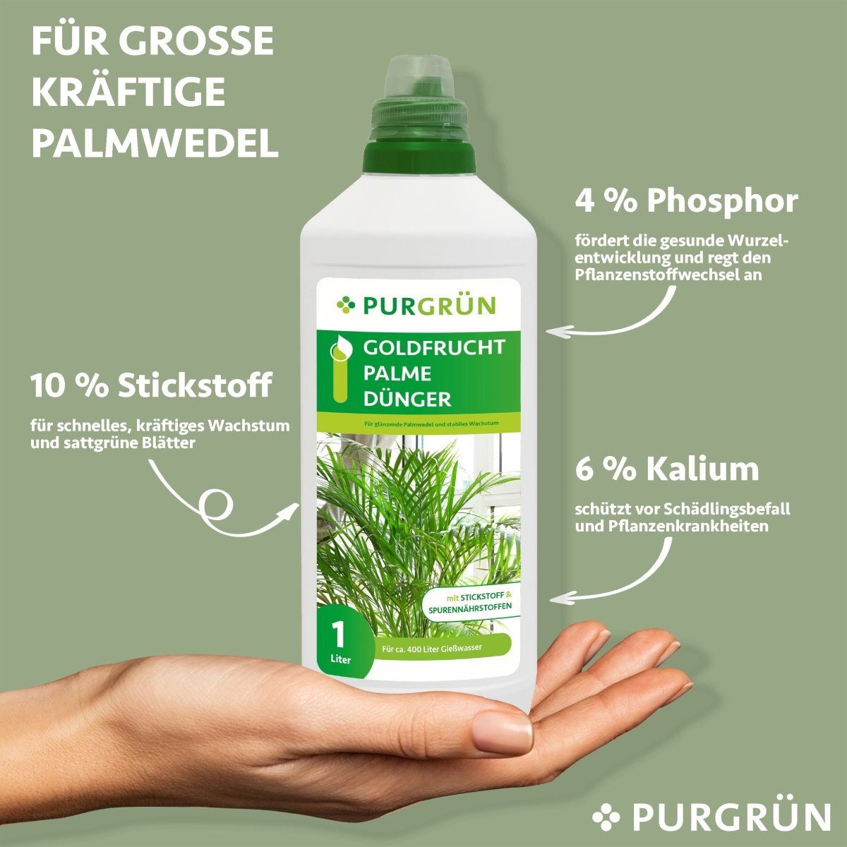 Purgrün Universaldünger Purgrün Goldfruchtpalme Dünger, NPK günstig online kaufen