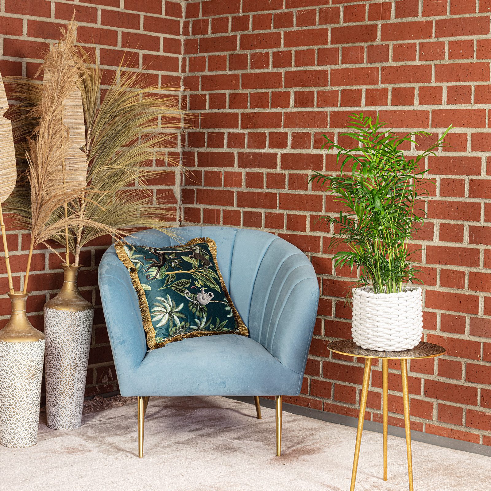 Flowerbox Zimmerpflanze Bergpalme - Chamaedorea elegans, pflegeleicht - Höhe ca. 70 cm, Topf-Ø 17 cm