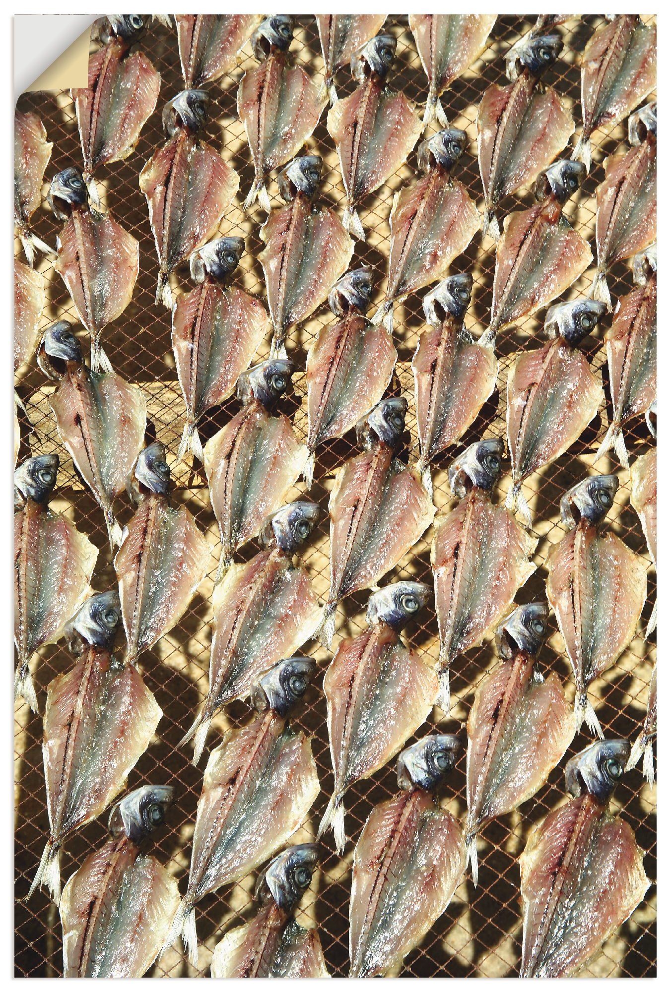 in getrocknete versch. als (1 Wandbild Portugal, Sonnen Artland & Fisch oder Fische Wandaufkleber Leinwandbild, in Meeresfrüchte Alubild, Größen St), Poster