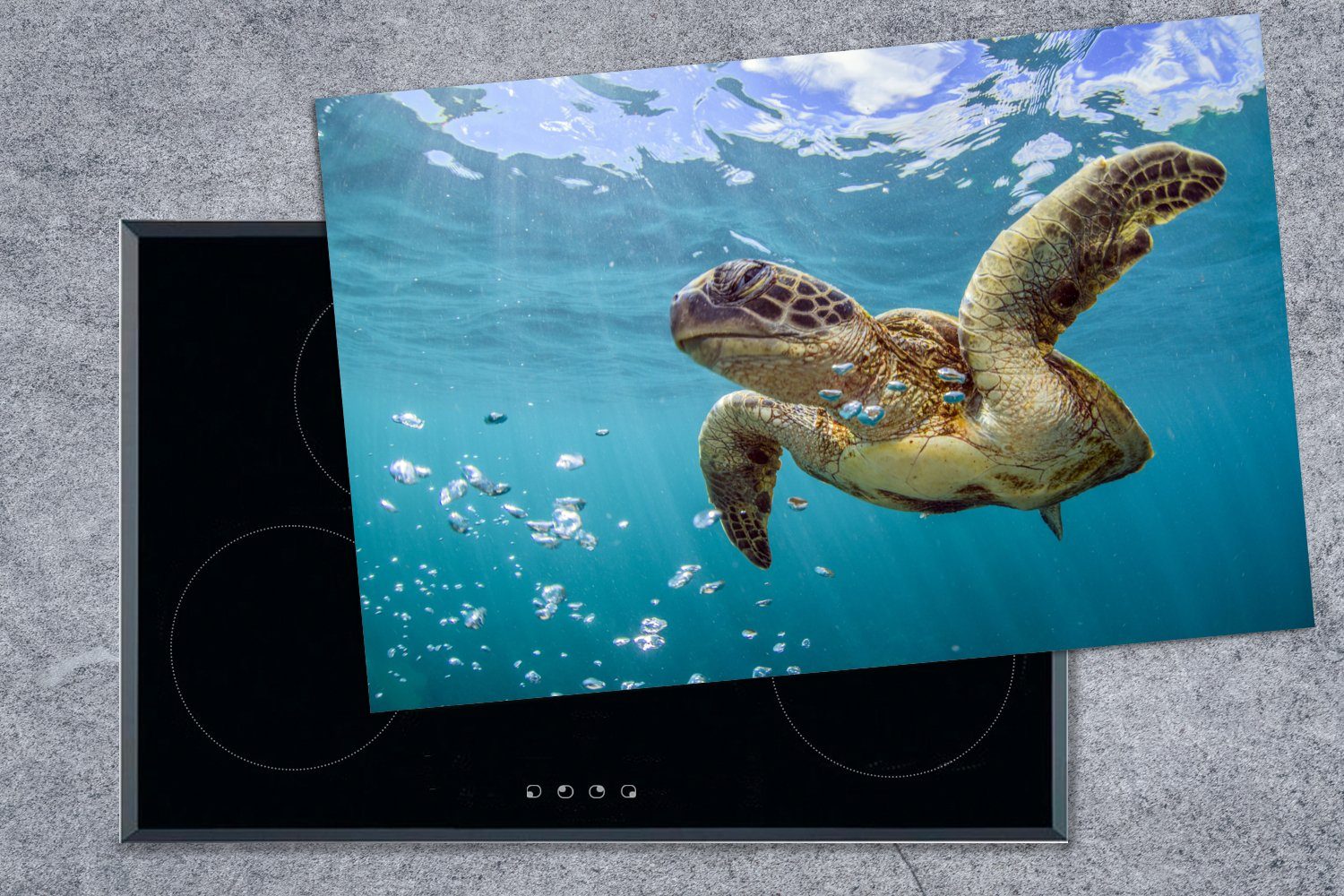 tlg), Meeresschildkröte Ceranfeldabdeckung Blasen, cm, 81x52 Herdblende-/Abdeckplatte Vinyl, küche, die MuchoWow für umgeben (1 Schutz von Induktionskochfeld Eine