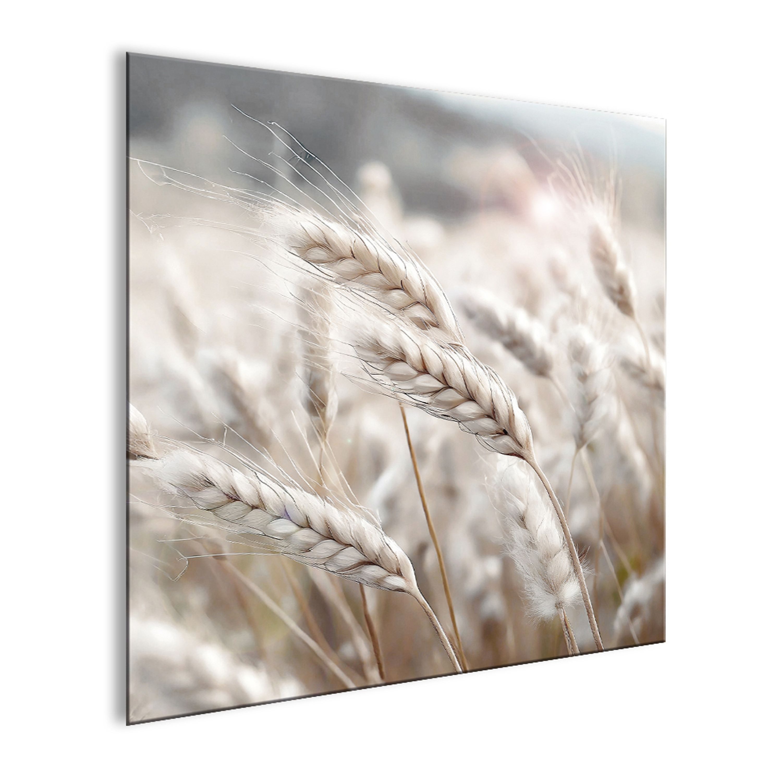 artissimo Glasbild Glasbild 30x30cm Bild aus günstig online kaufen