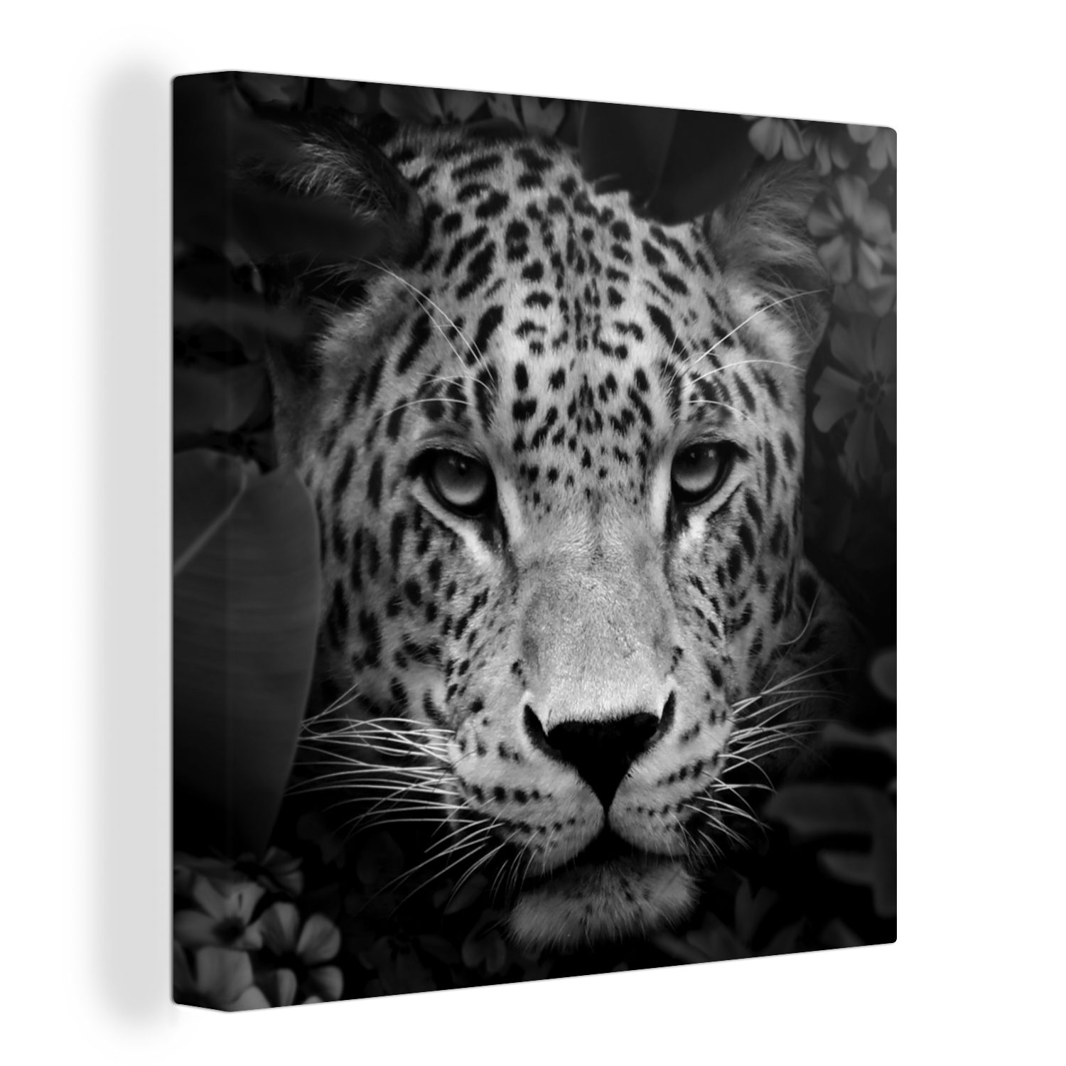 OneMillionCanvasses® Leinwandbild Dschungel - Panther - Wilde Tiere - Schwarz - Weiß, (1 St), Leinwand Bilder für Wohnzimmer Schlafzimmer