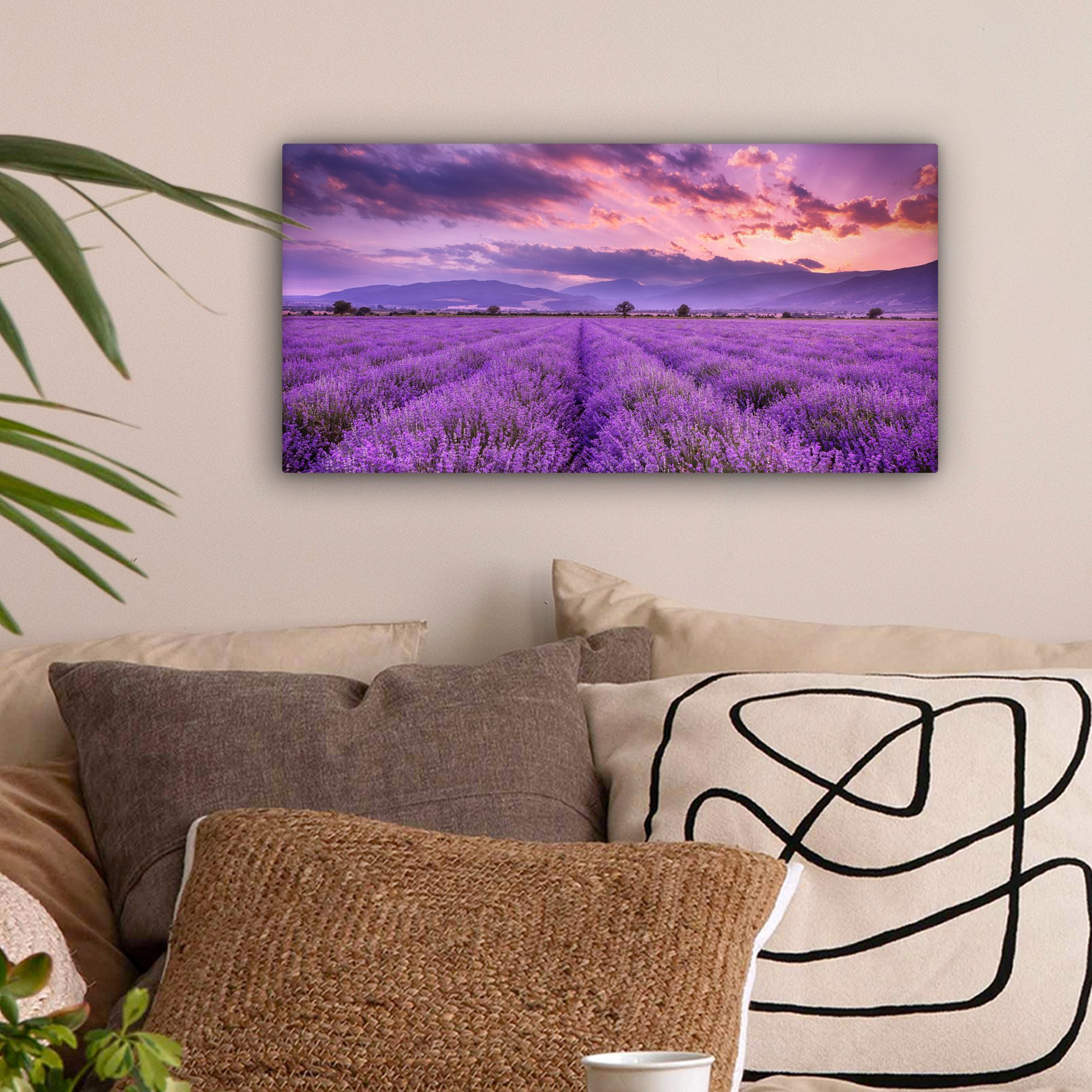 OneMillionCanvasses® Leinwandbild Panorama Lavendel - Lila - Blumen - Feld, günstig online kaufen