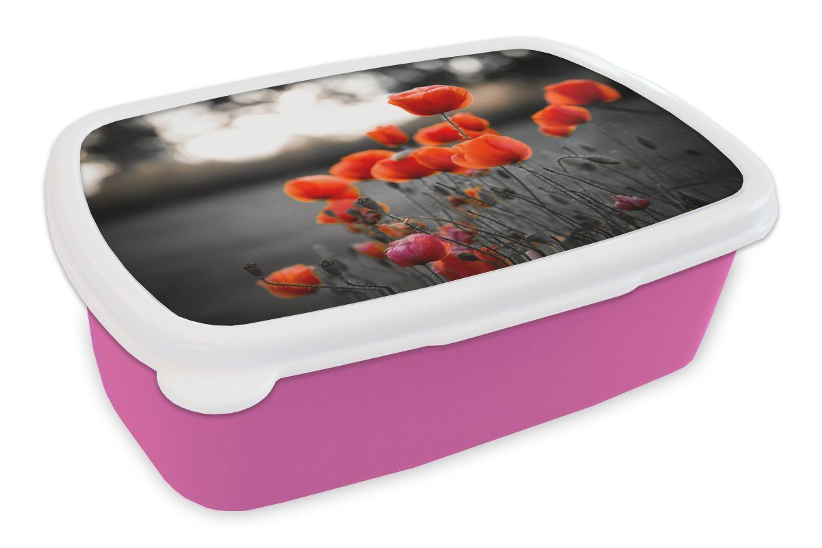 MuchoWow Lunchbox Wilde rote Mohnblumen auf einem großen Feld mit schwarzem und weißem, Kunststoff, (2-tlg), Brotbox für Erwachsene, Brotdose Kinder, Snackbox, Mädchen, Kunststoff rosa