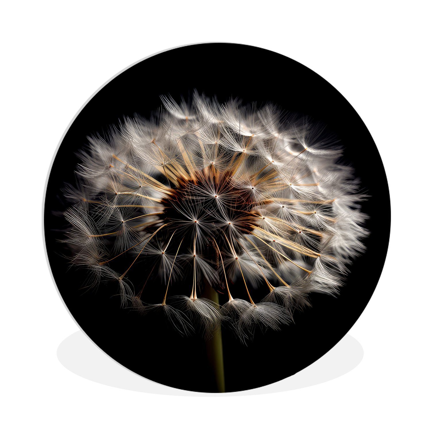 Gemälde Blumen - Natur - Löwenzahn - Schwarz - Porträt