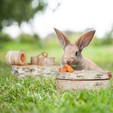relaxdays Tier-Intelligenzspielzeug 2 tlg. Kaninchen Spielzeug, Holz